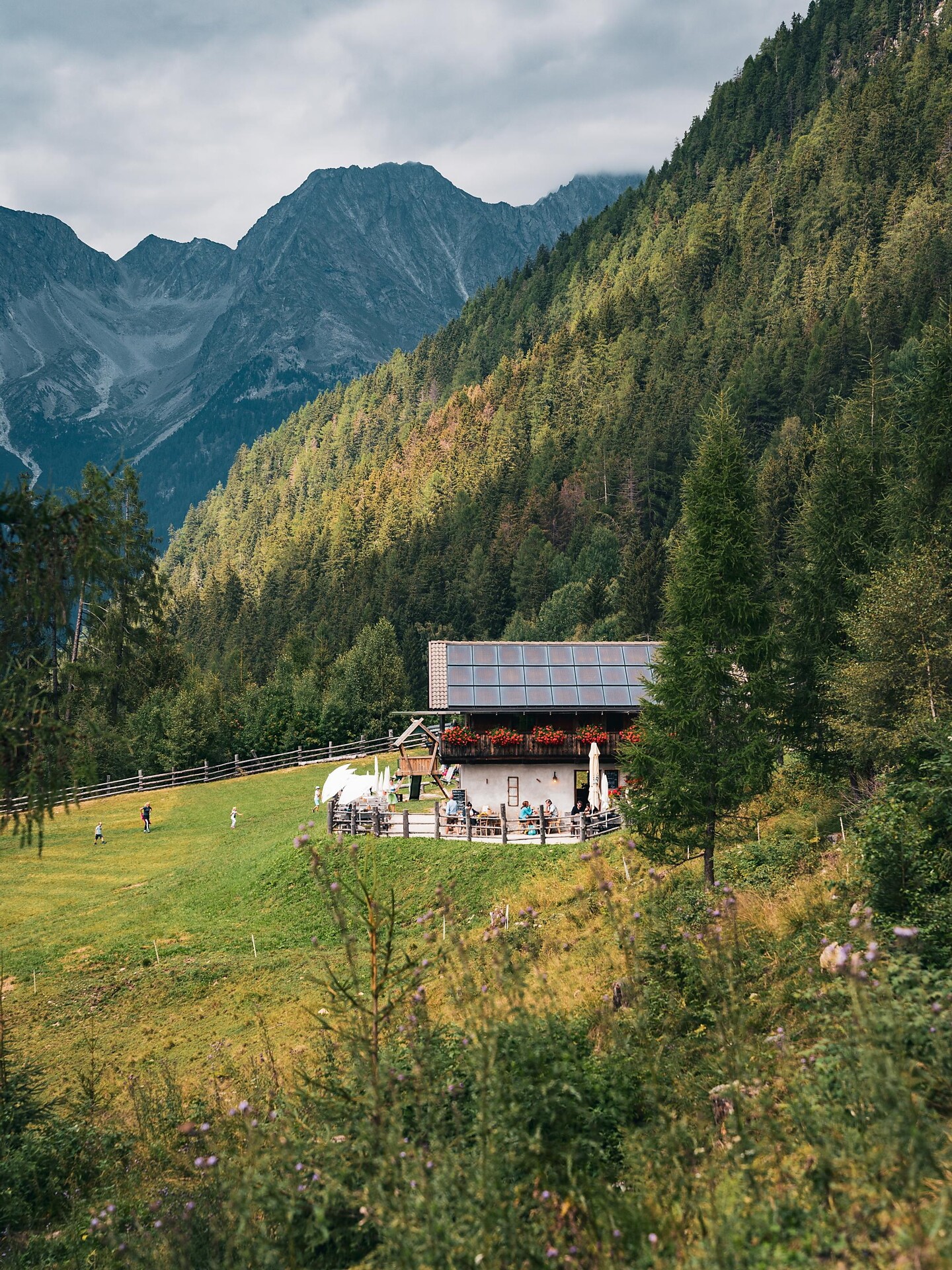 Familienwanderung zur Hofstatt Alm - Dolomitenregion Kronplatz - #2 - suedtirol.info