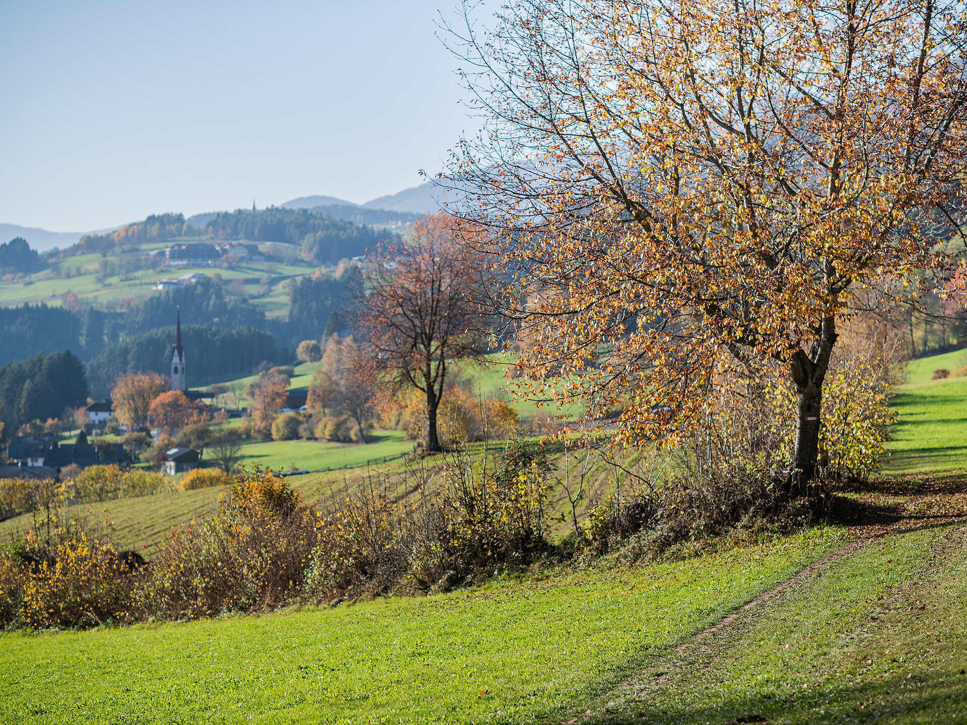 Honigbergweg
