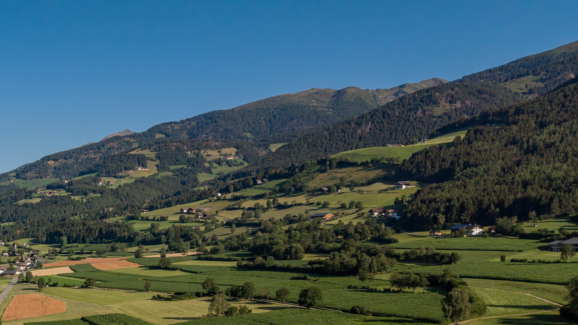 Collina del Miele/Honigbergweg - Dolomites Region Kronplatz/Plan de Corones - #4 - suedtirol.info