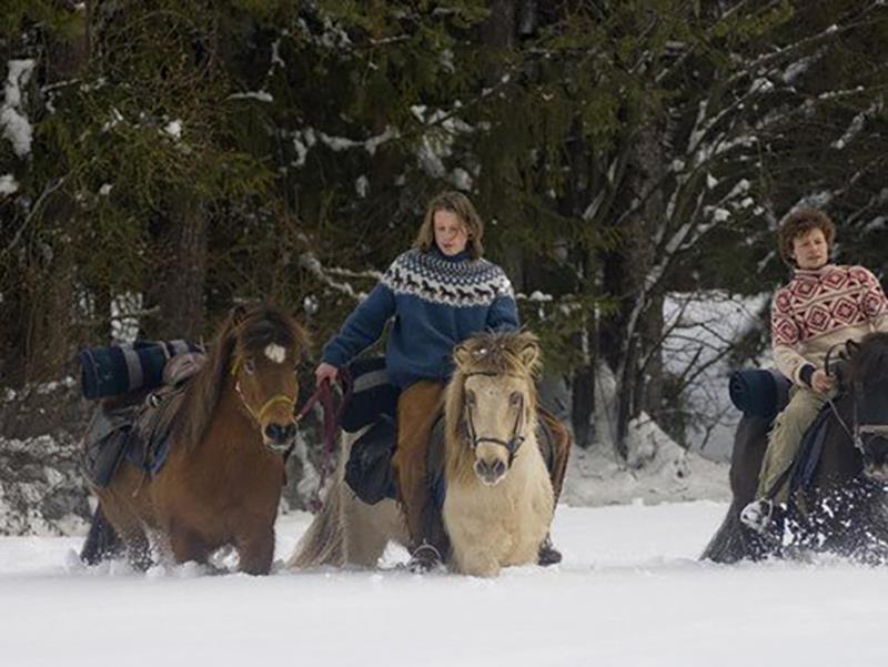 Horse Trekking Mareo San Vigilio 2 suedtirol.info