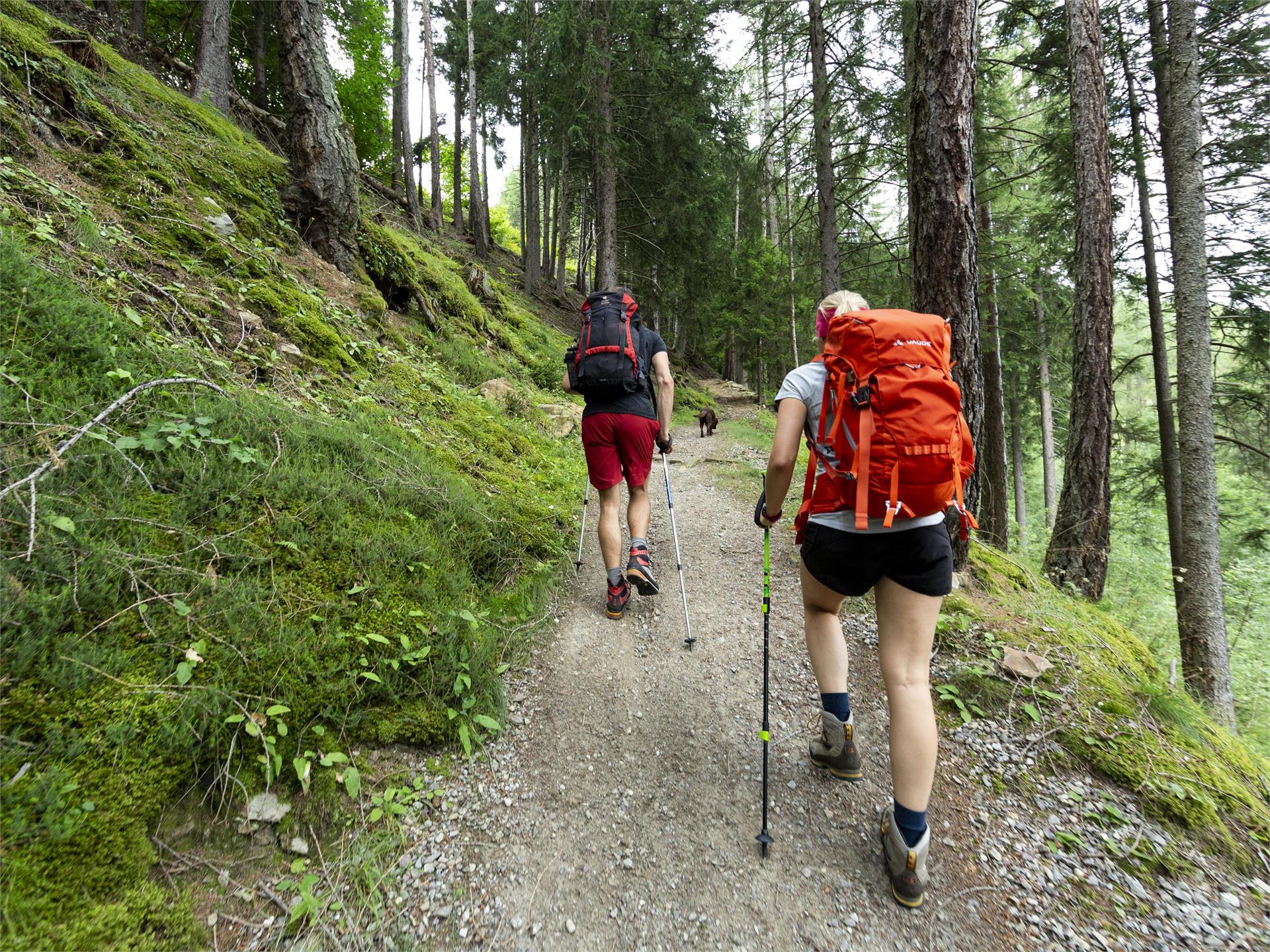 Sui pendii sopra Marlengo Marlengo 1 suedtirol.info