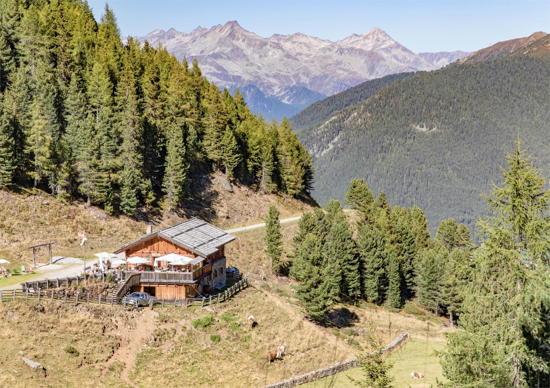 Hühnerspiel [giogo] – Trejer Alm (Äußere Michlreis Alm) [malga] – Purstein Höfe [masi] – Campo Tures Campo Tures 6 suedtirol.info