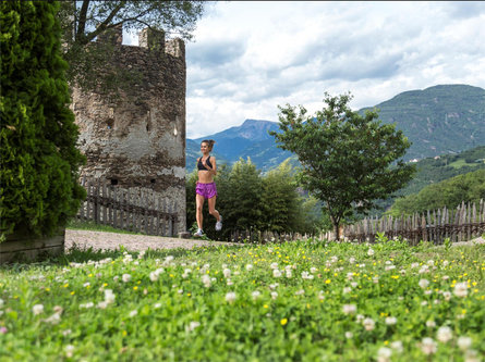 Percorso Castel Flavon: 10,9 Bolzano 1 suedtirol.info