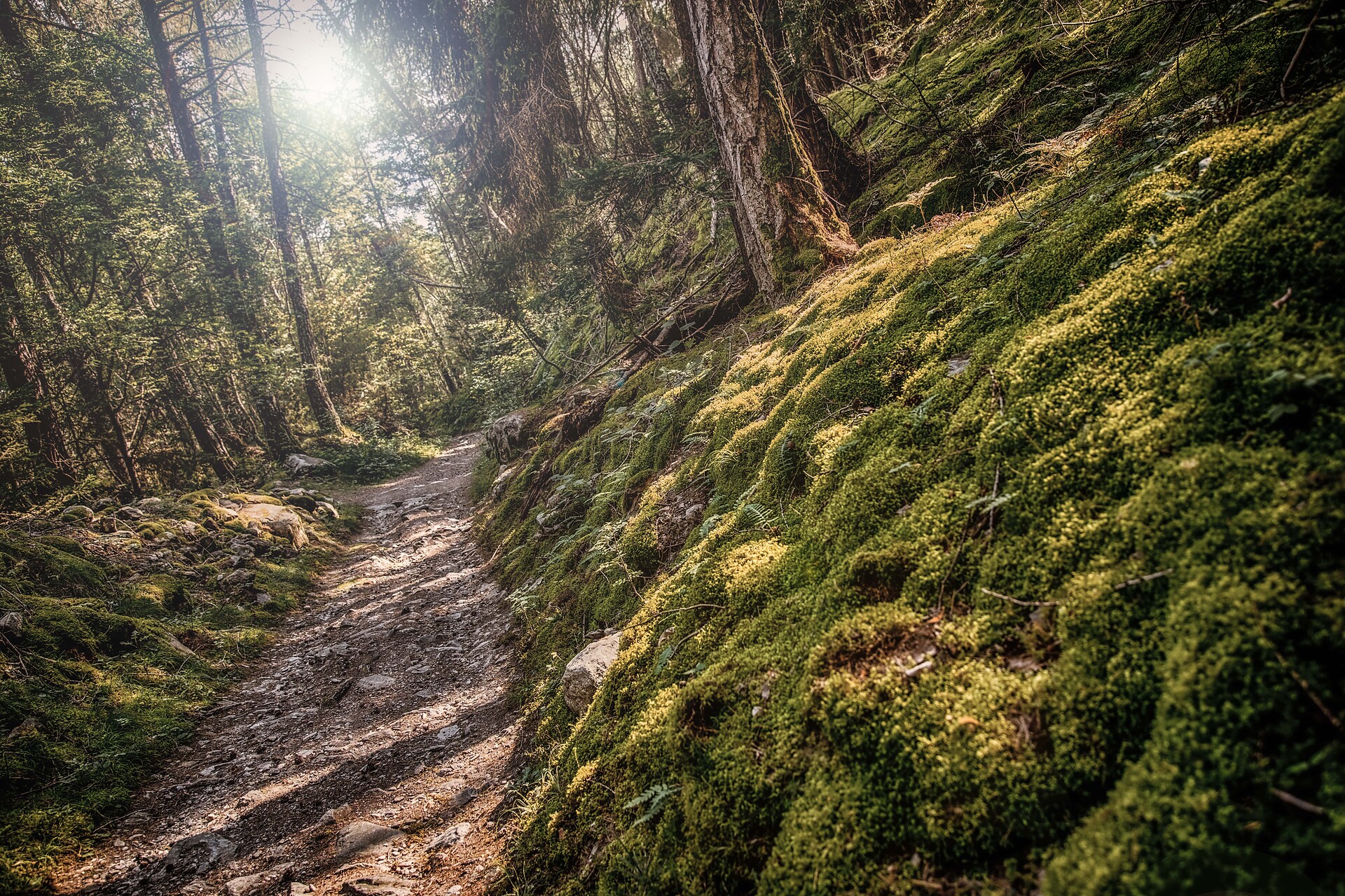Hinzlweg, natura, escursione