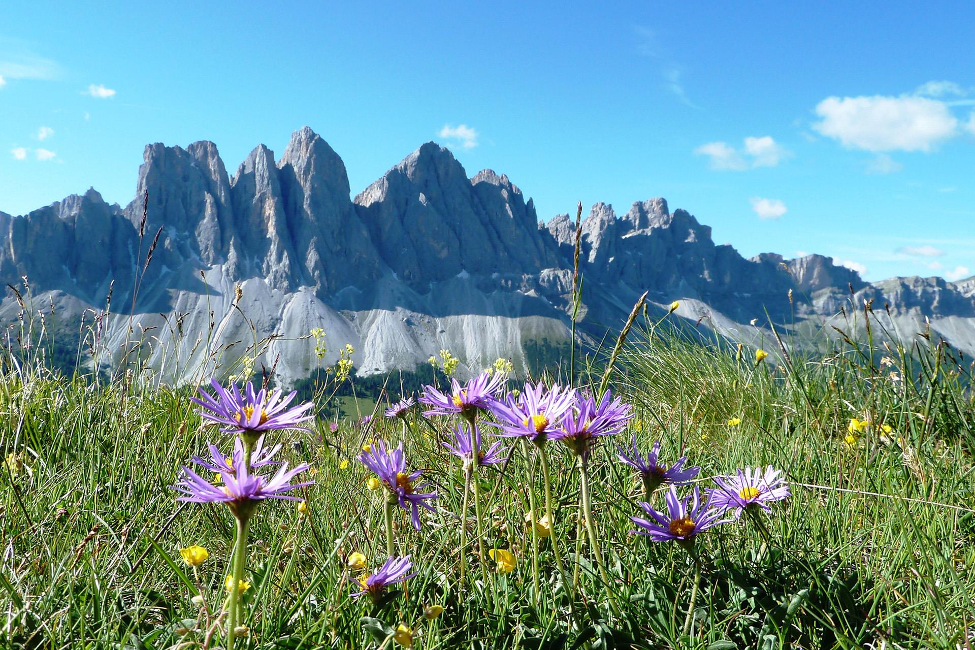 I Sentieri dei Signori in Val di Funes Funes 3 suedtirol.info