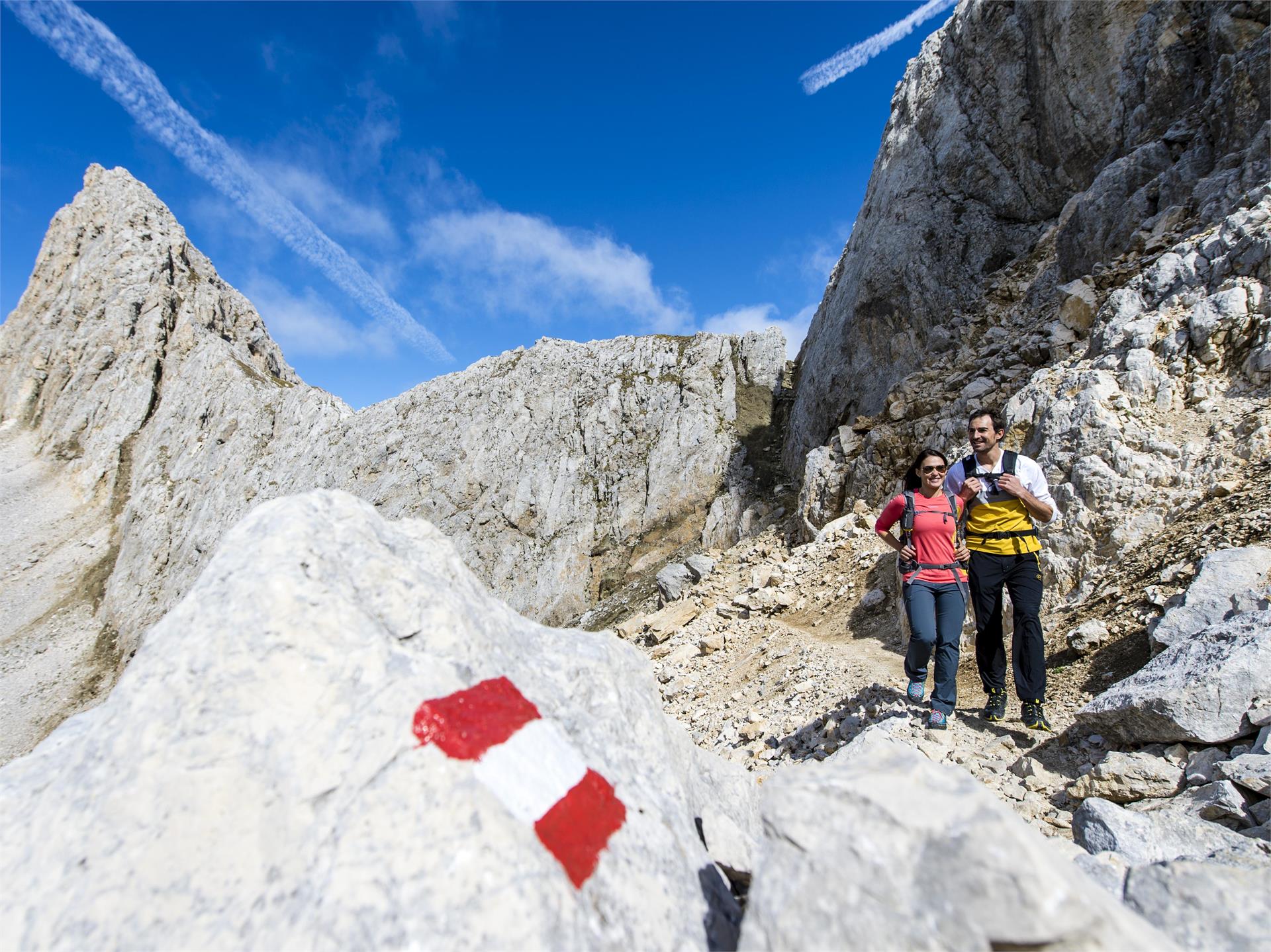 Hike & Bike | Da Nova Levante al Rifugio Latemar - Torre di Pisa Nova Levante 4 suedtirol.info