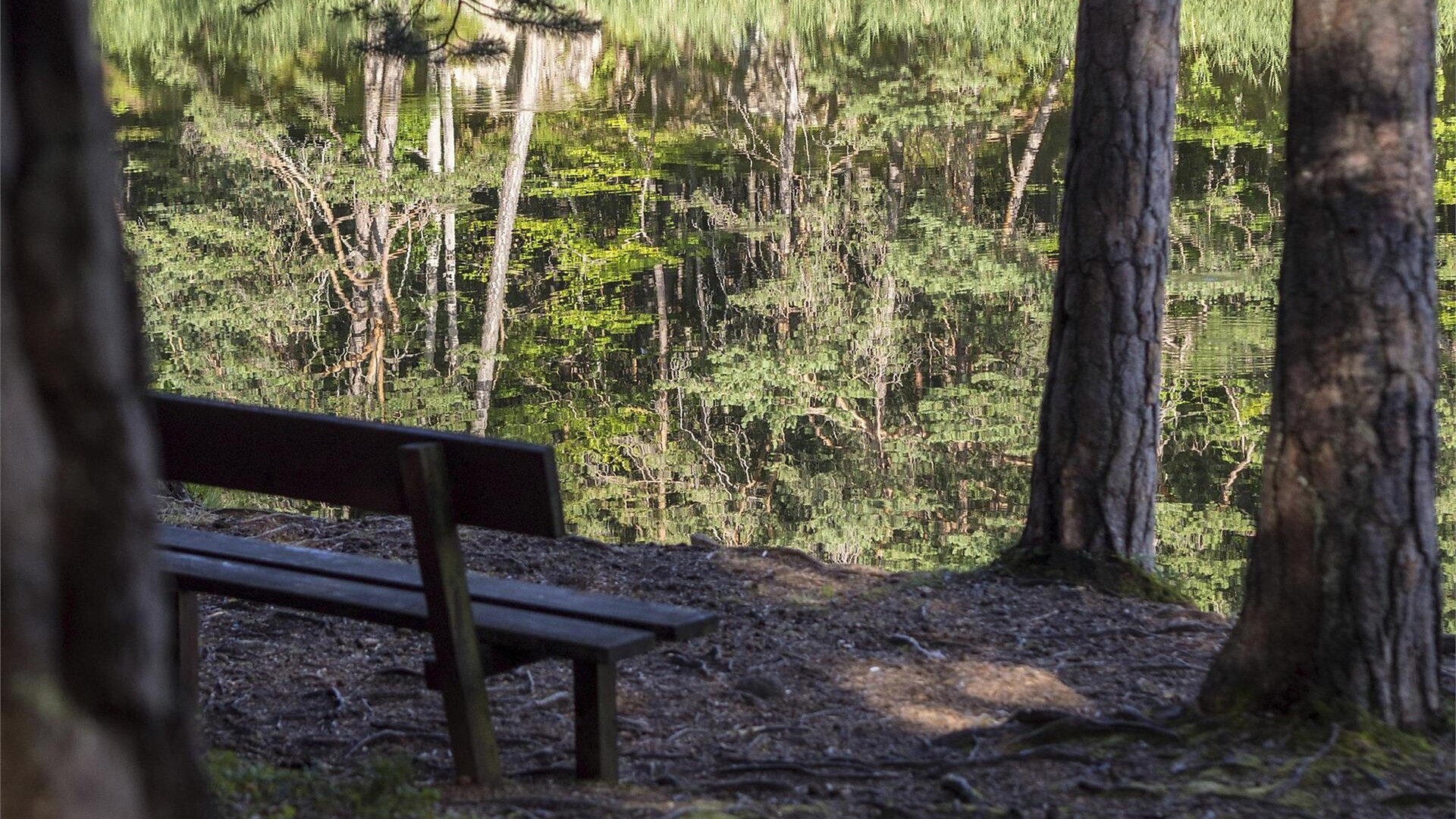 Al Lago Göller ad Aldino -  - #1 - suedtirol.info