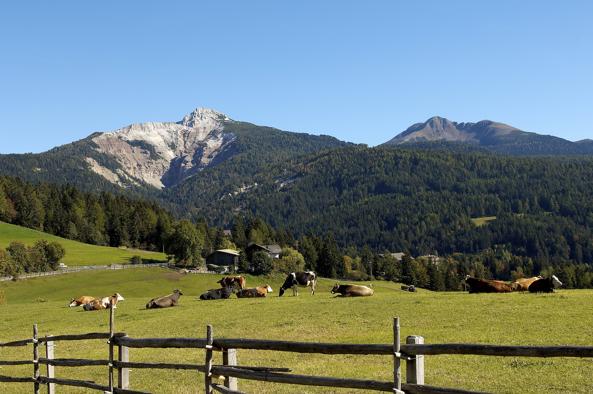 Aldino
