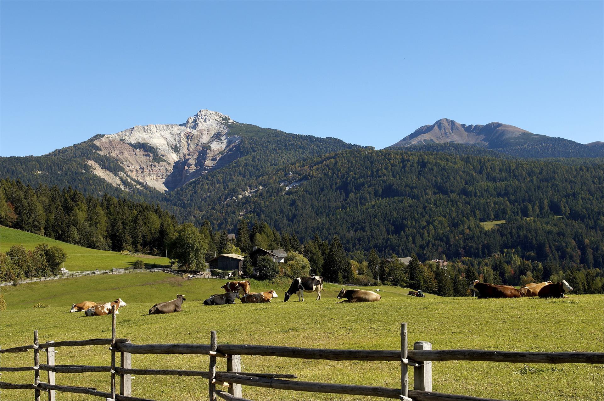 Da Bronzolo al Lago di Göller e Aldino Bronzolo 1 suedtirol.info