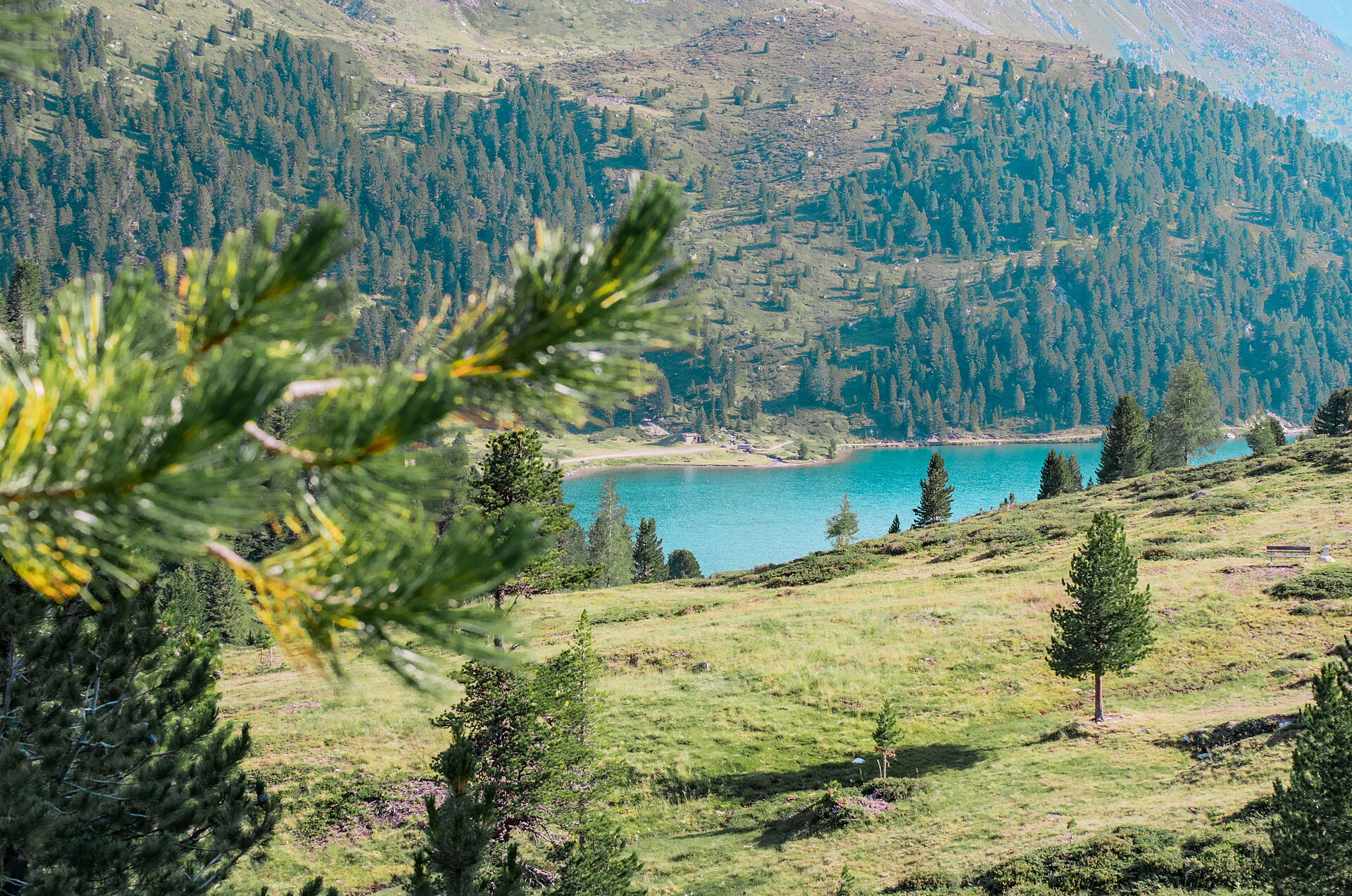 Hinterbergkofel 2.726m - Regione dolomitica Plan de Corones - #6 - suedtirol.info