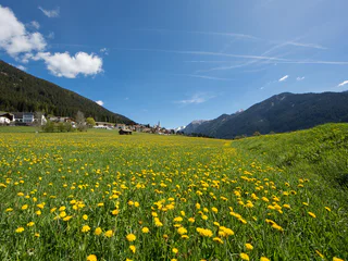 Höfewanderung im Gsiesertal - Gsies - #1 - suedtirol.info