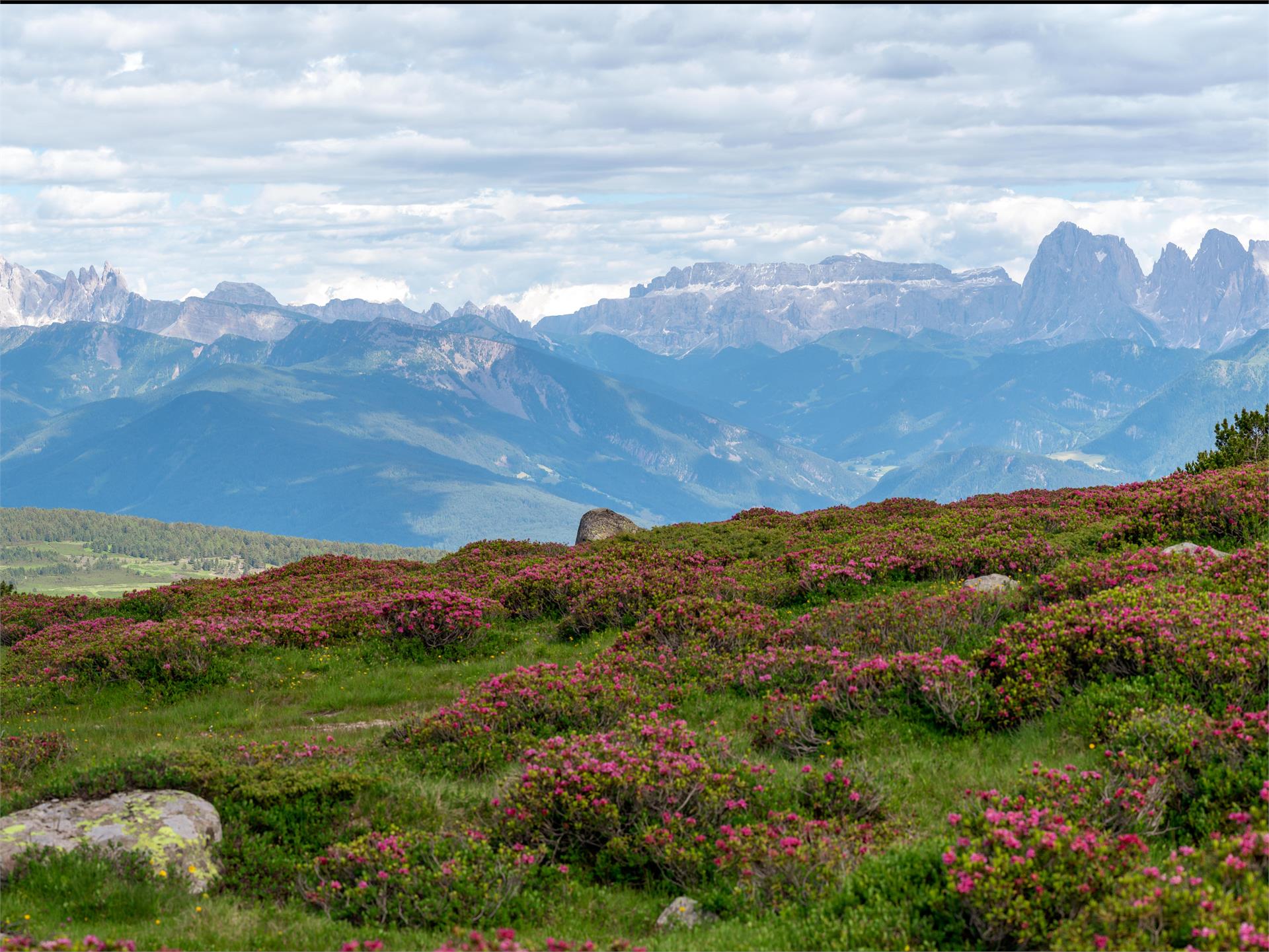 Huber Kreuz-Oberes Horn-Unterhornhaus Barbian 1 suedtirol.info