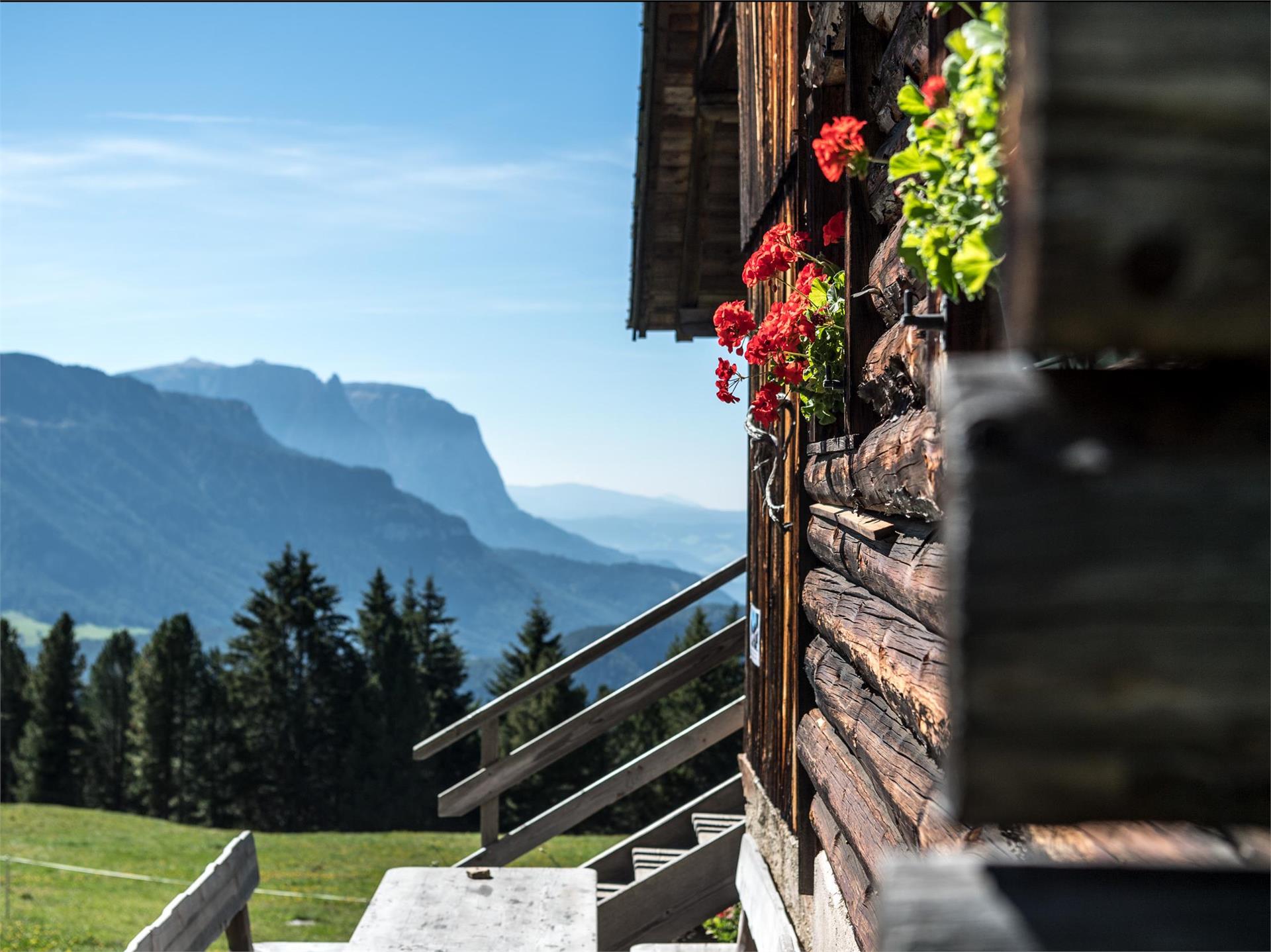 Troi Paian path Urtijëi/Ortisei 3 suedtirol.info
