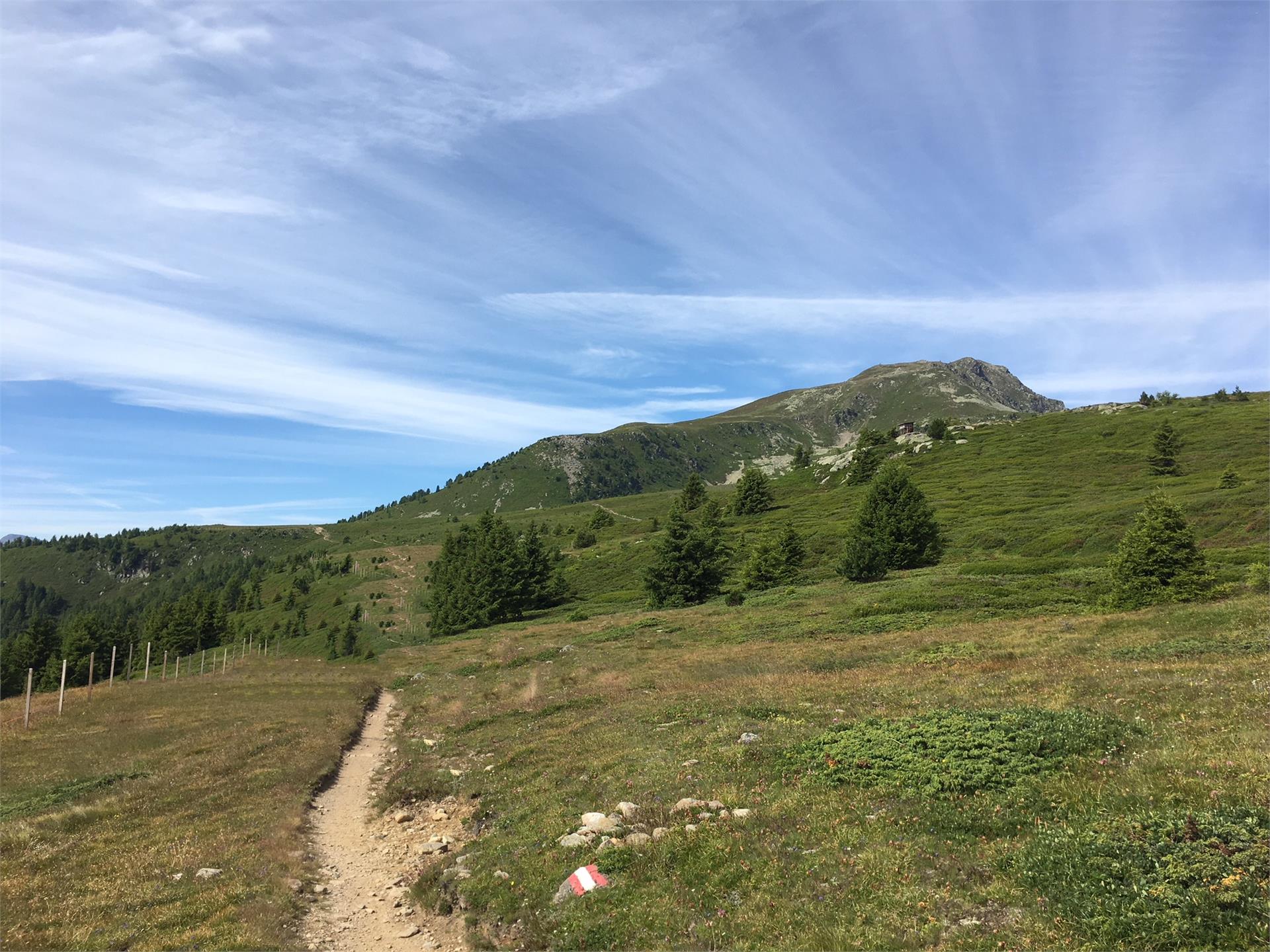 Challenging and spectacular Lana 1 suedtirol.info
