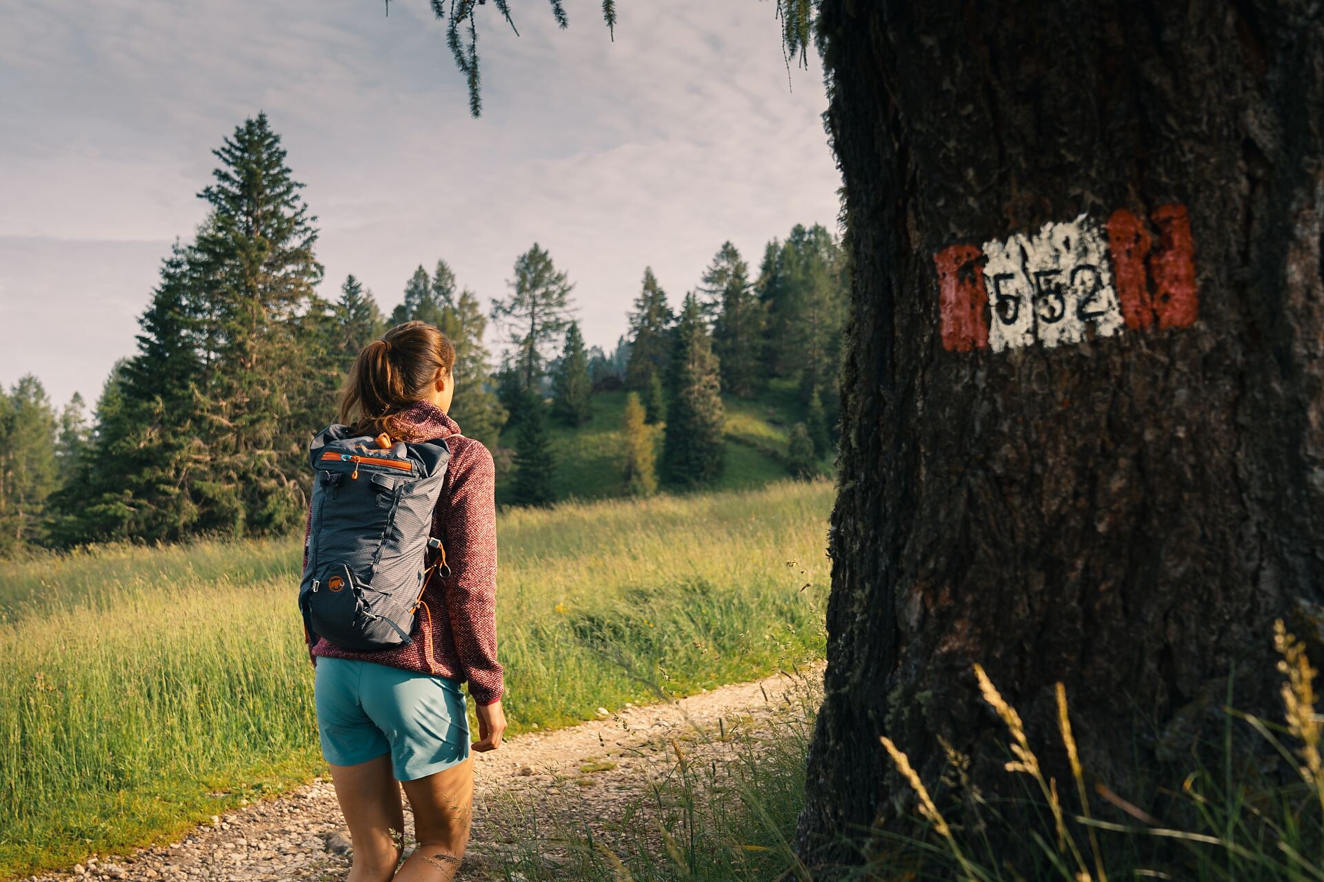 Path 552 after the Karerpass | Passo di Costalunga