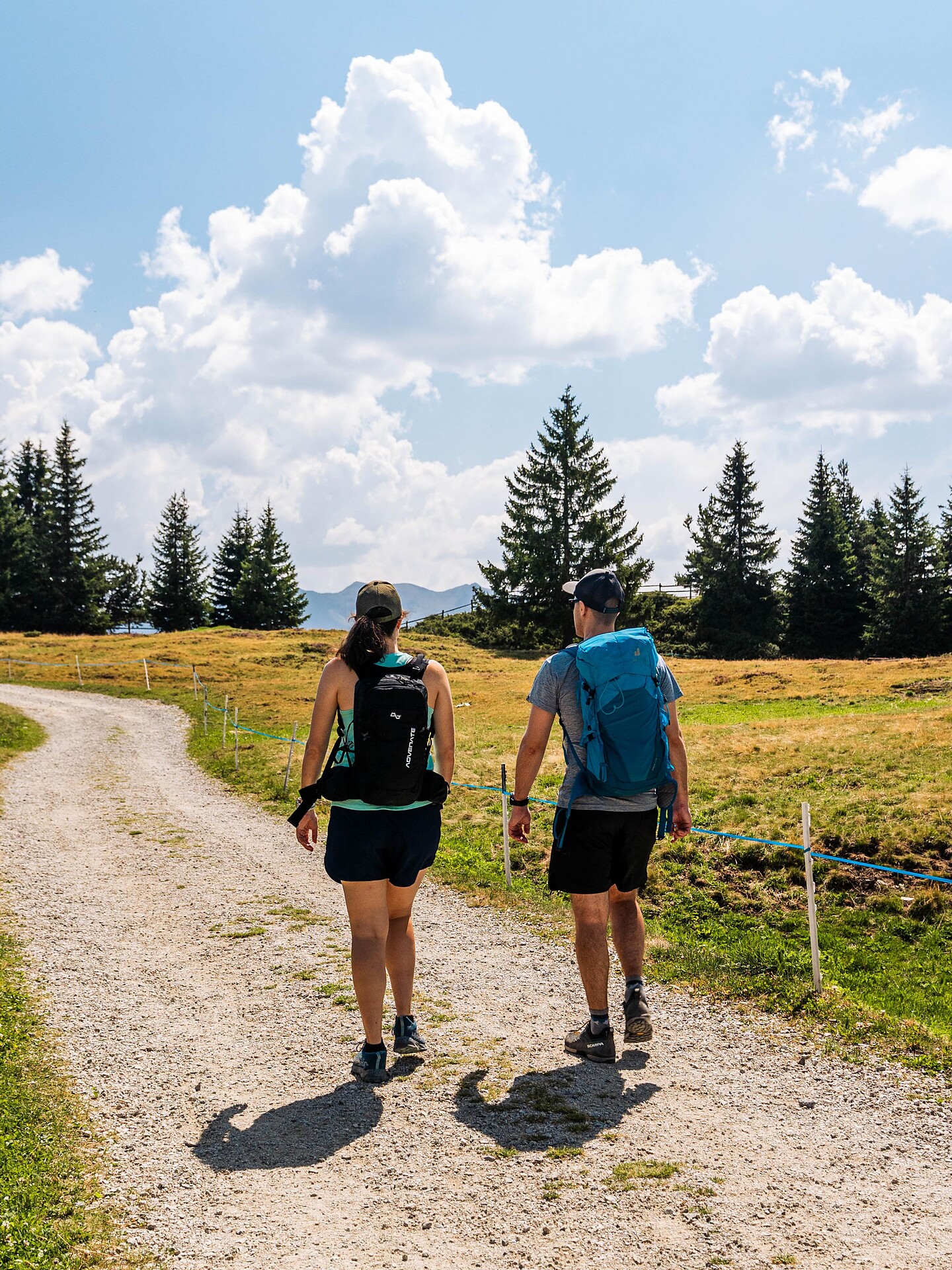 Hike from Ellen to the Rodenecker-Lüsner Alm - Dolomites Region Kronplatz/Plan de Corones - #5 - suedtirol.info