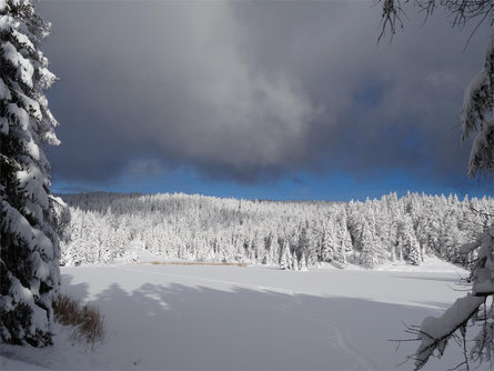 Escursione invernale da San Felice a Schönegg fino al Lago di Tret Senale-S.Felice 3 suedtirol.info