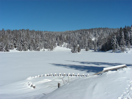 Escursione invernale da San Felice a Schönegg fino al Lago di Tret Senale-S.Felice 1 suedtirol.info