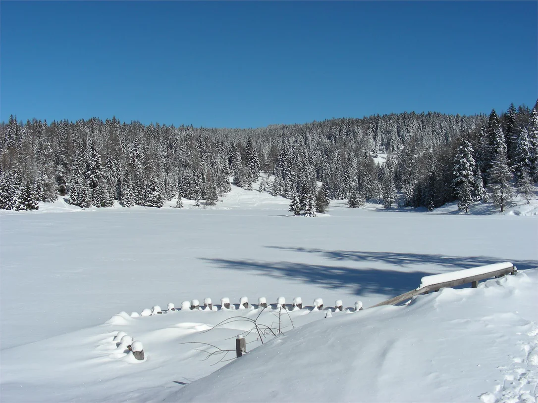 Escursione invernale da San Felice a Schönegg fino al Lago di Tret