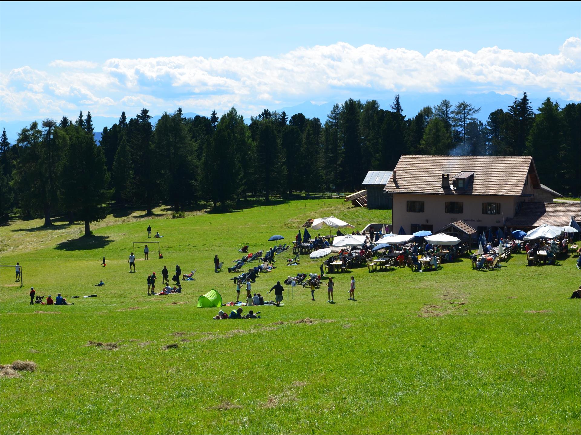 Oclini - Corno Bianco round hike Aldein/Aldino 6 suedtirol.info
