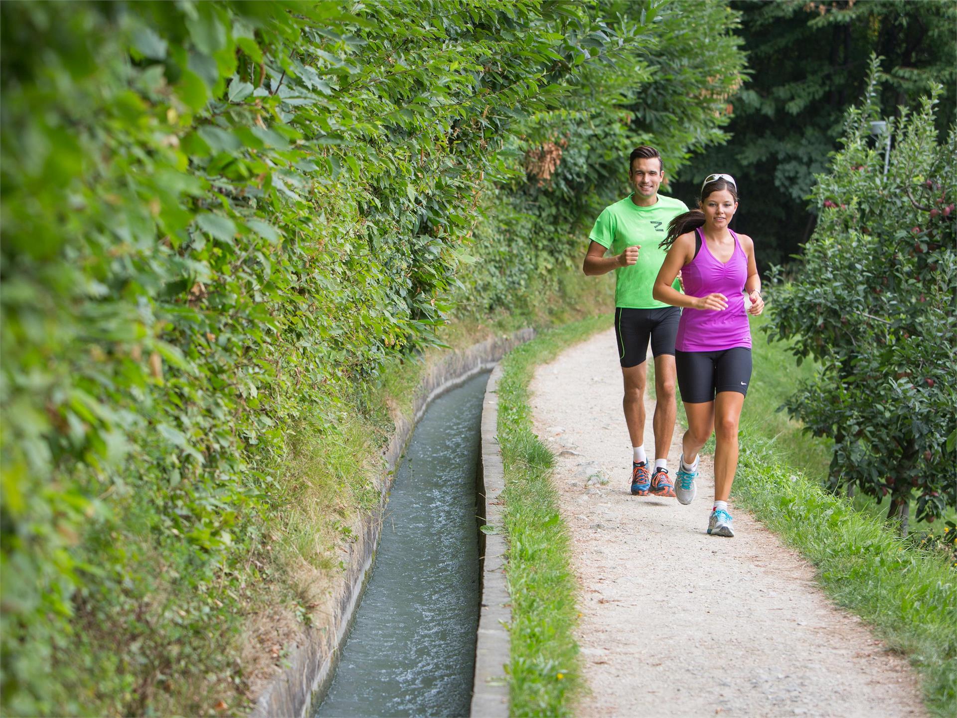 Jogging lungo la roggia di Marlengo Marlengo 3 suedtirol.info