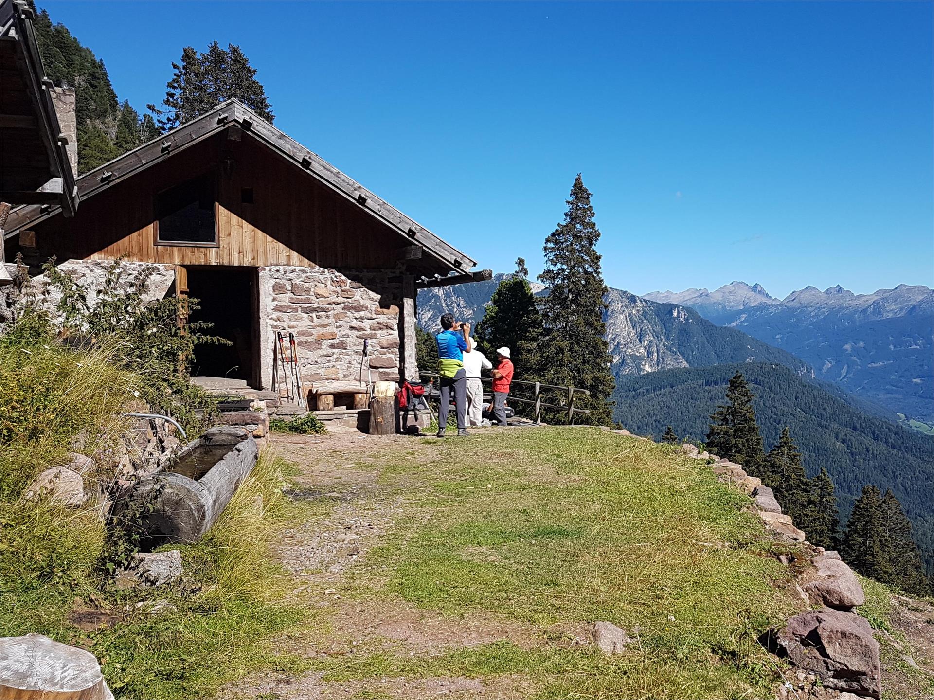 Oclini - Corno Nero Anello Aldino 4 suedtirol.info