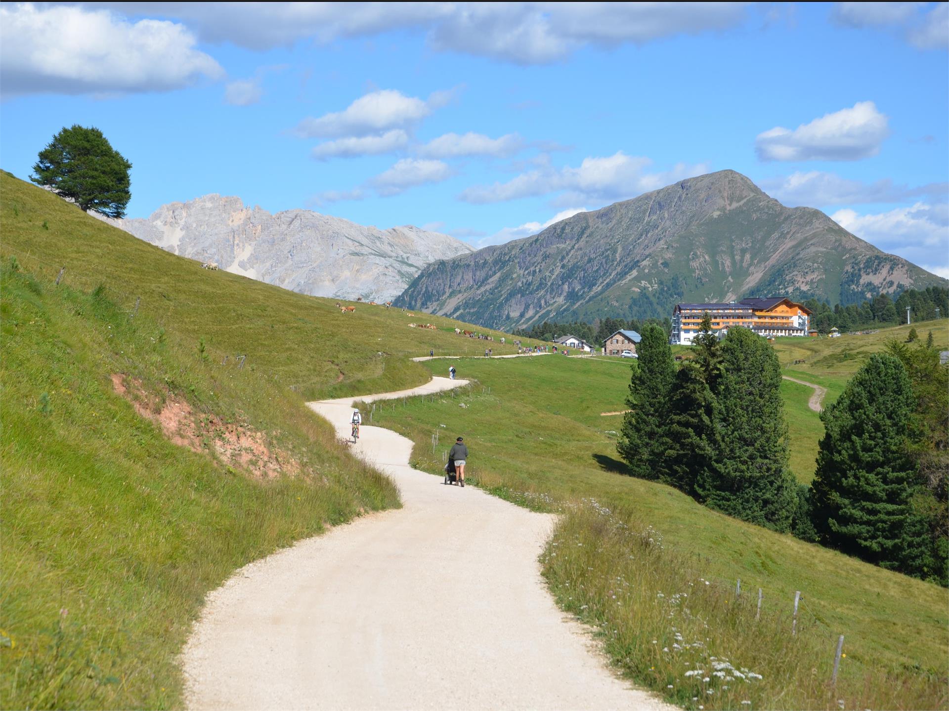 Oclini - mountain huts Aldein/Aldino 1 suedtirol.info