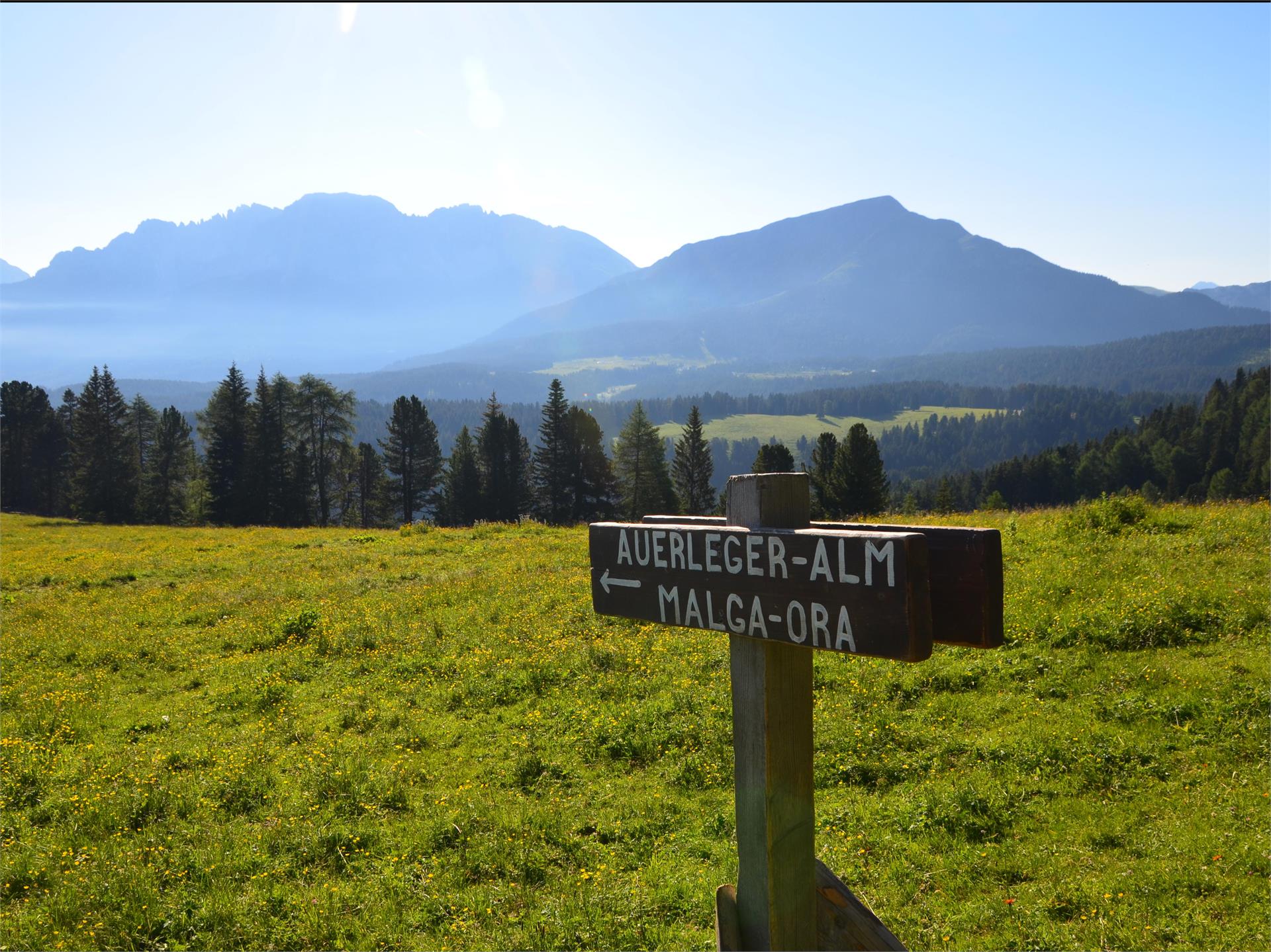 Oclini - Malga Ora Aldino 2 suedtirol.info