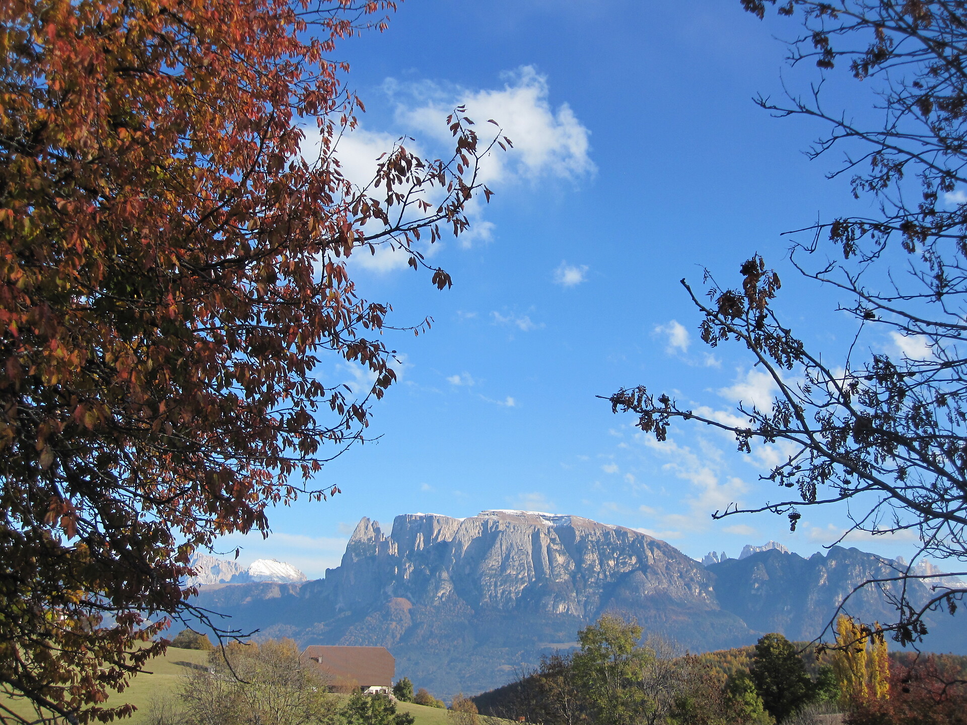 Sentiero del Castagno & Cammino di San Giacomo