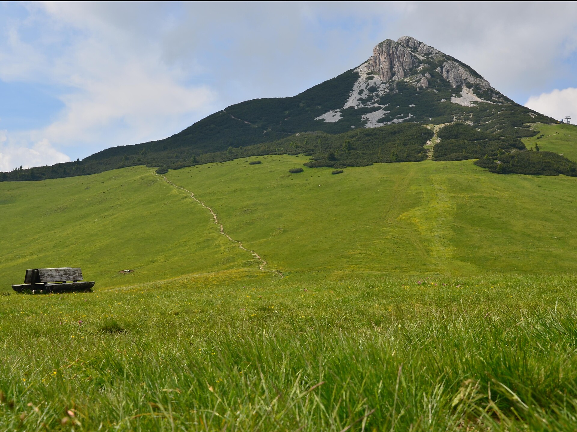Corno Bianco