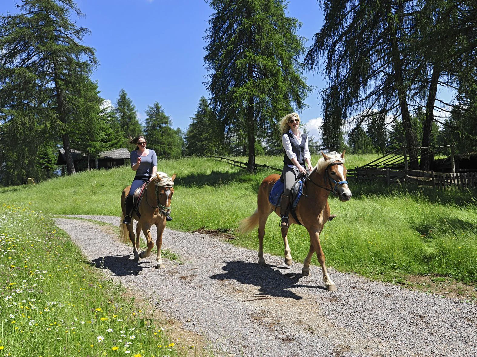 San Genesio-Schermoos-Lanzenschuster-Stegerhof-Omini di Pietra  1 suedtirol.info