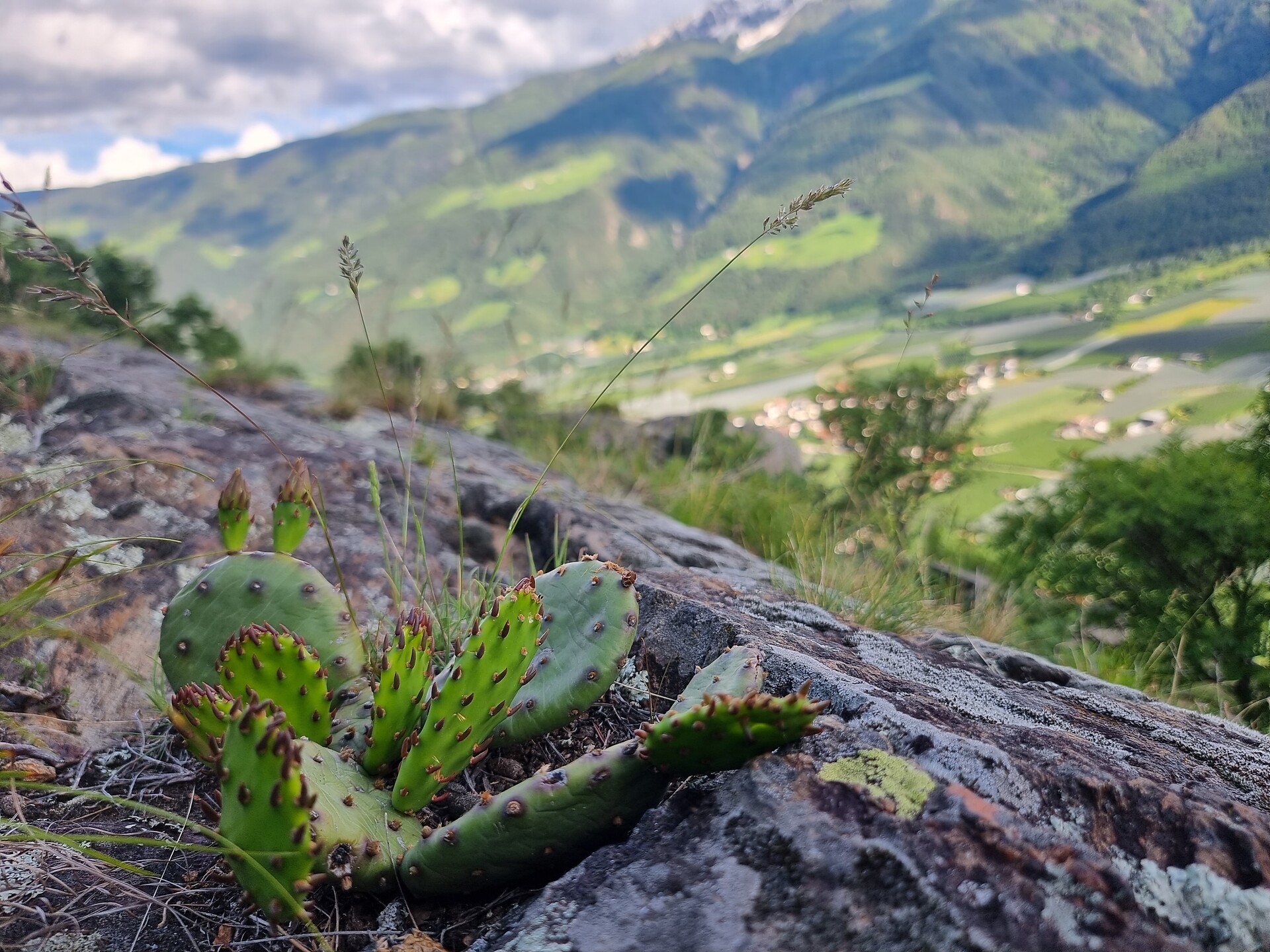 Un luogo energetico: Wallburgboden Naturno 5 suedtirol.info