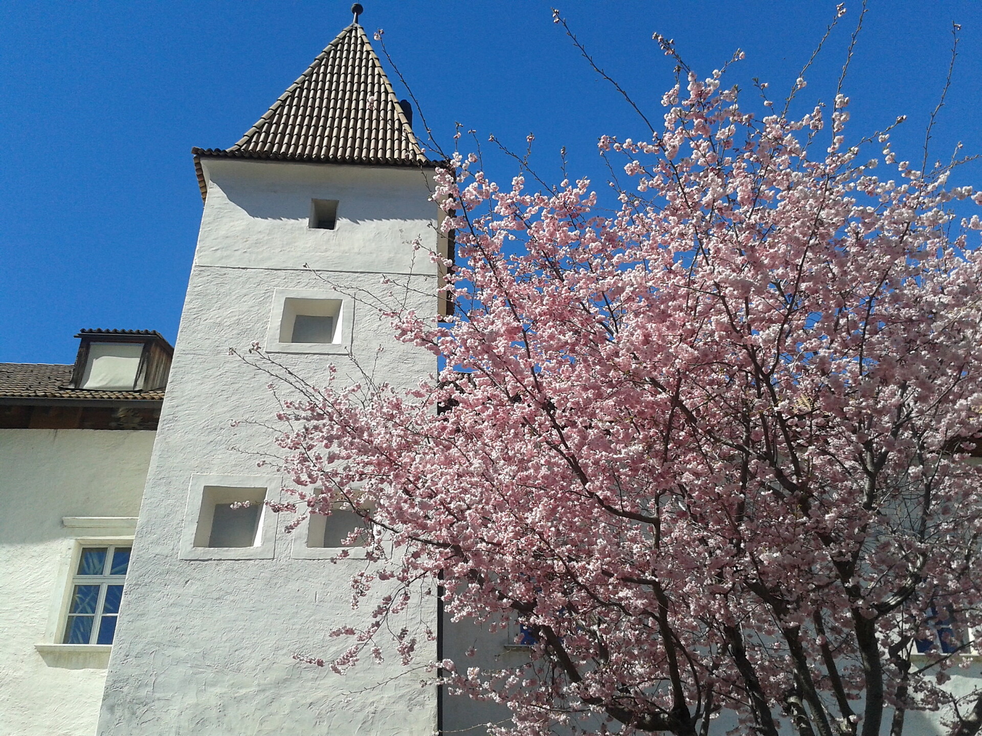 Schlandersburg