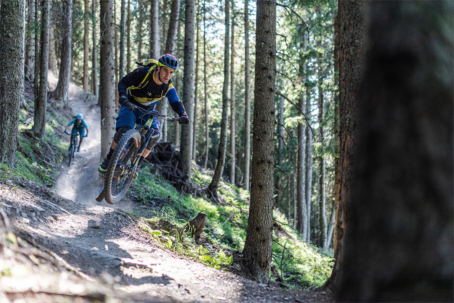 Kronplatz Bike Park San Vigilio 2 suedtirol.info