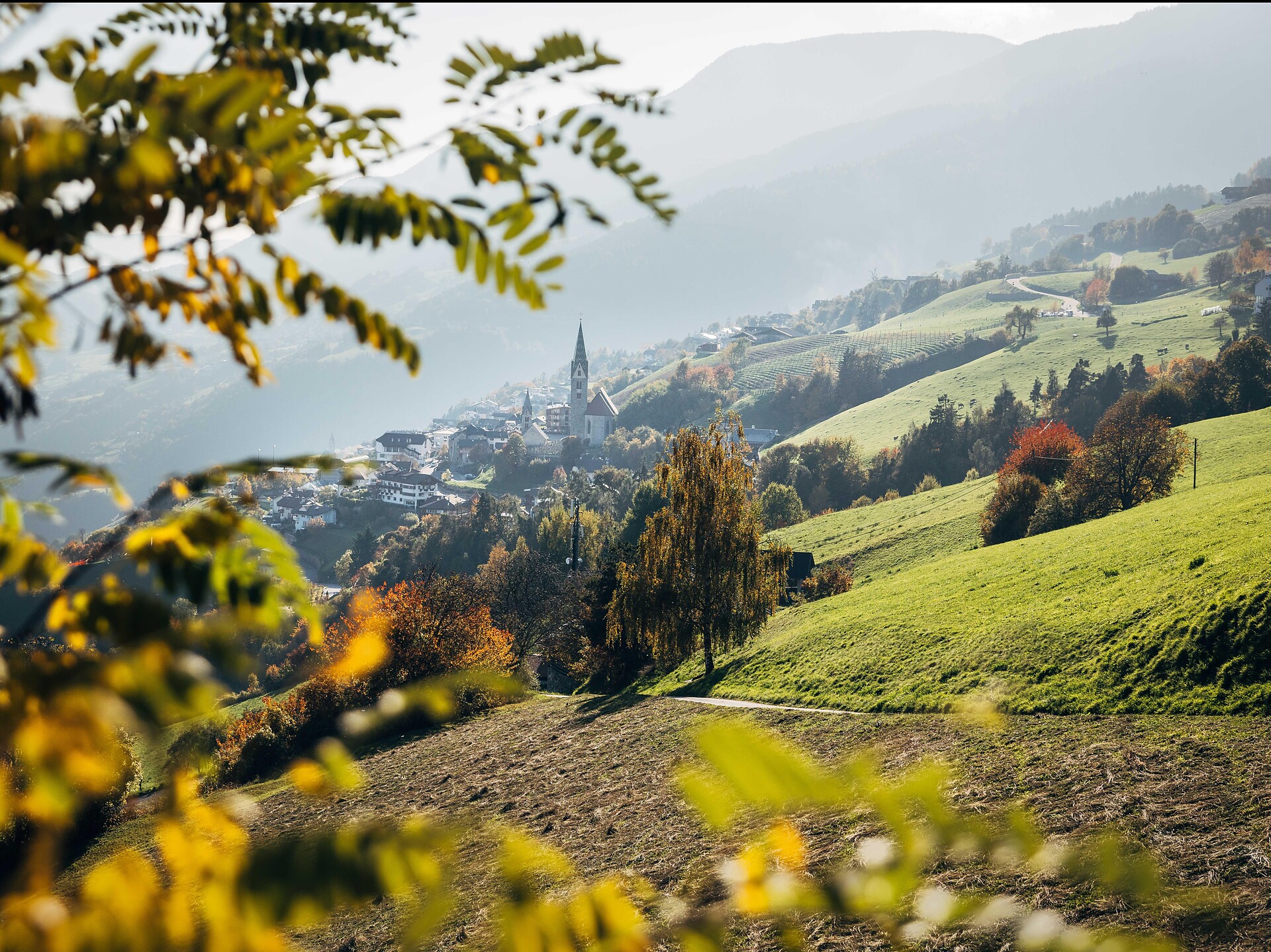 Chestnut Trail: CHiusa-Villandro-S. Maurizio - Brixen/Bressanone and environs - #2 - suedtirol.info