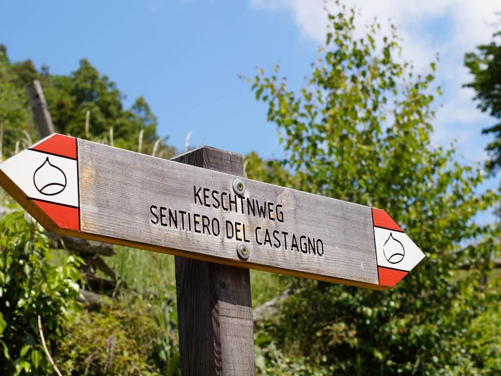 Chestnut Trail: CHiusa-Villandro-S. Maurizio