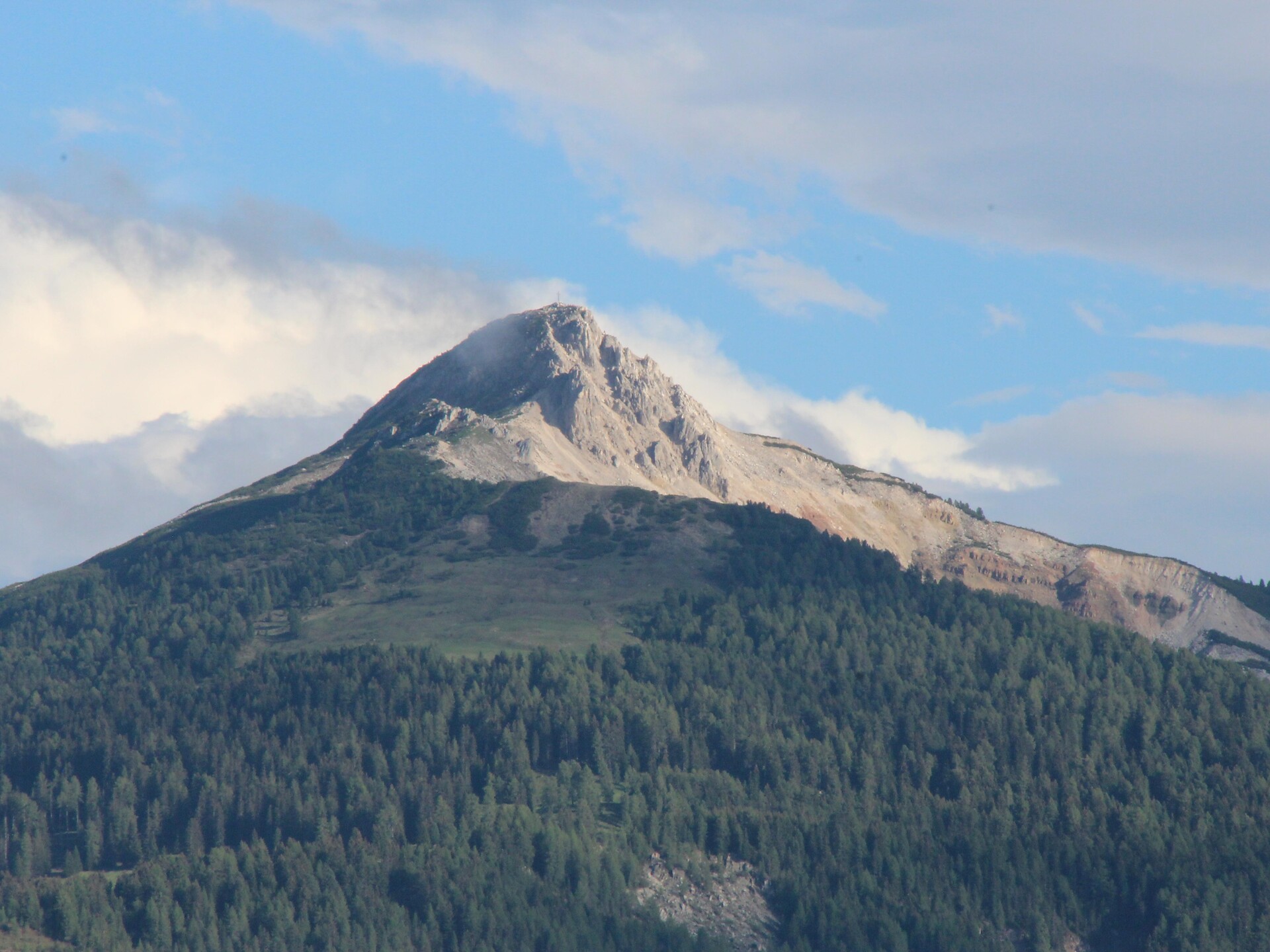 Corno bianco