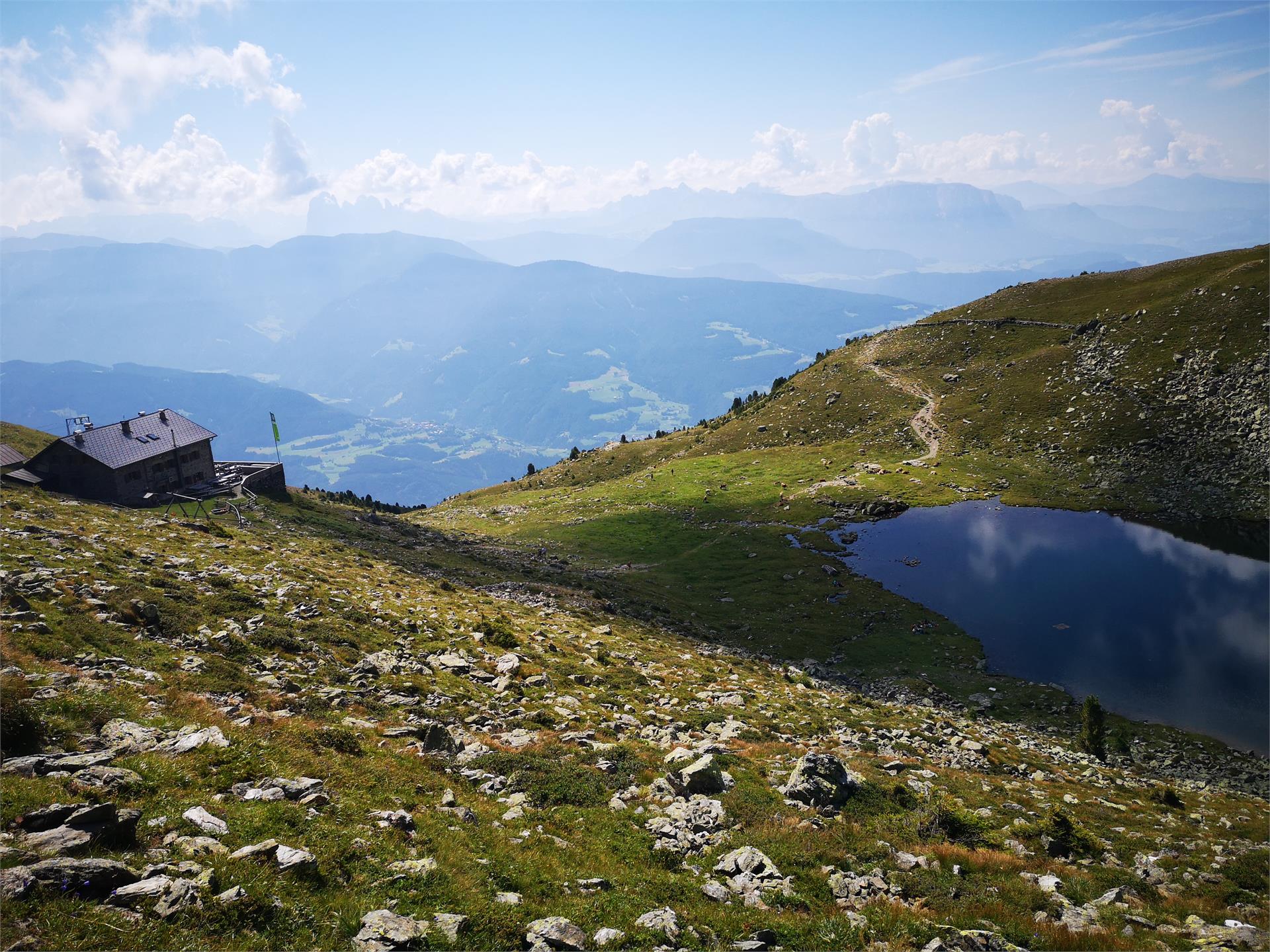 Königsanger Feldthurns 2 suedtirol.info