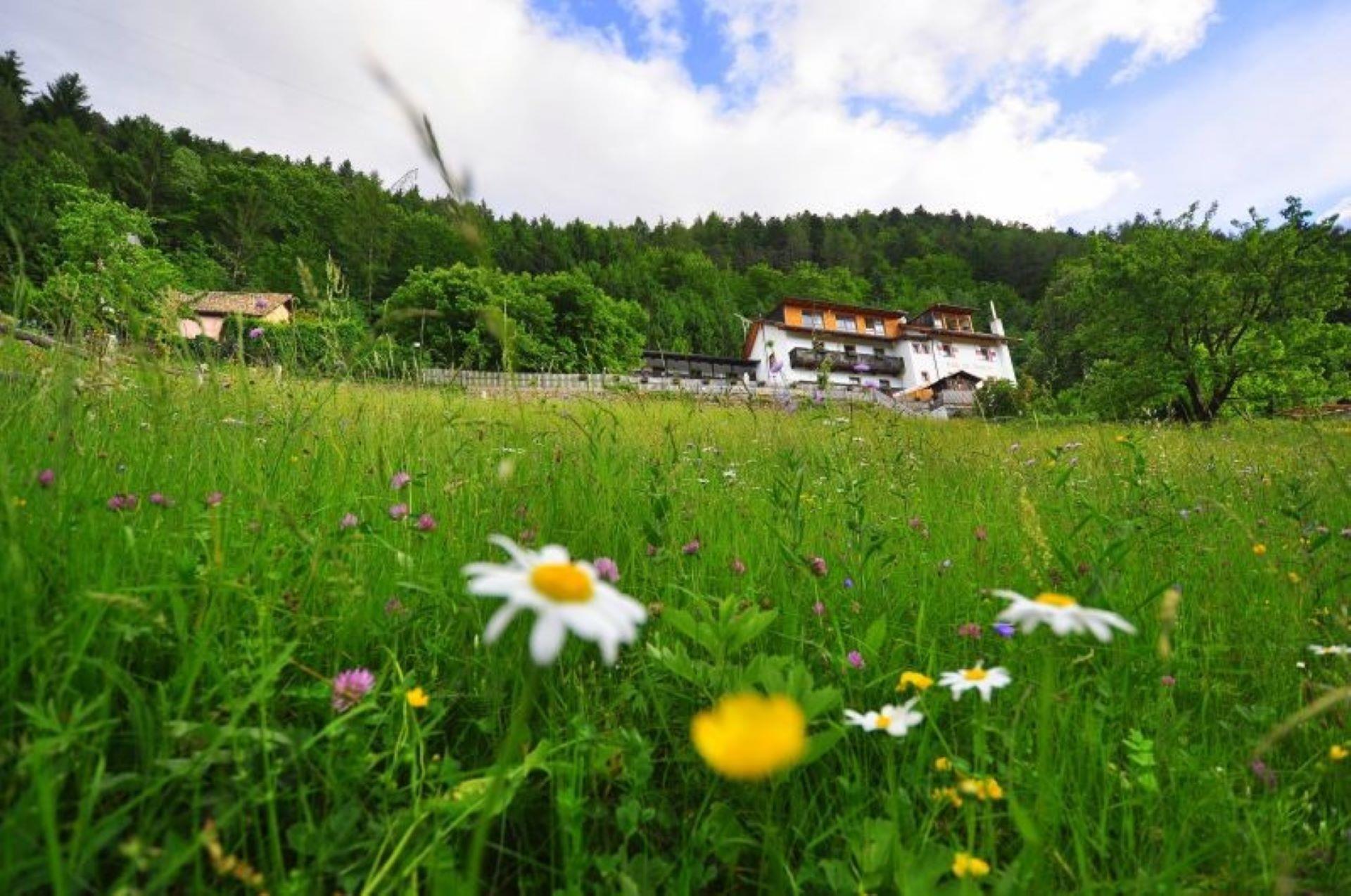 Kohlern: Die Nordseite vom Kohlern Bozen 1 suedtirol.info