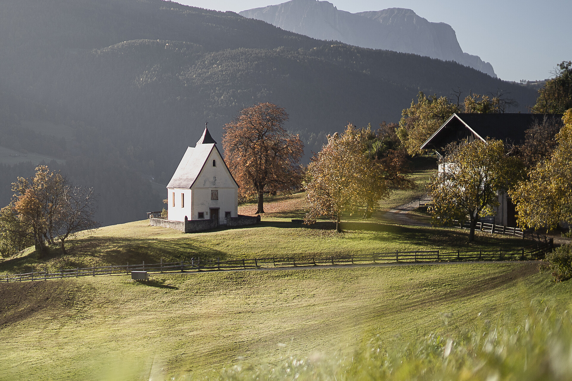 Sentiero del castagno da Velturno a Chiusa - Bressanone e dintorni - #4 - suedtirol.info