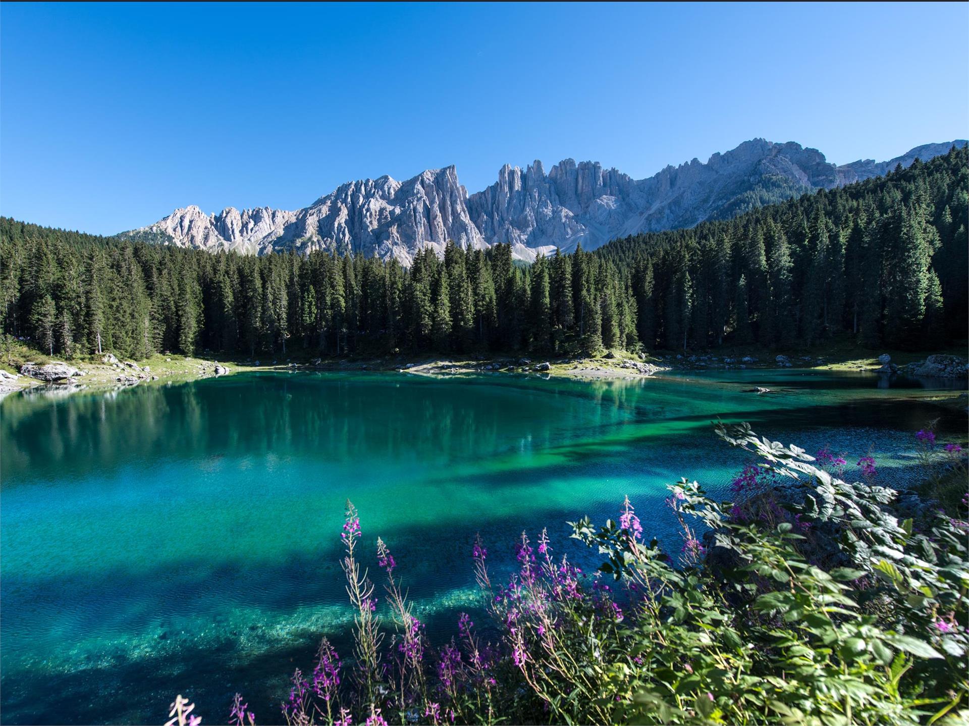 Kurzer Rundweg am Karer See Welschnofen 1 suedtirol.info