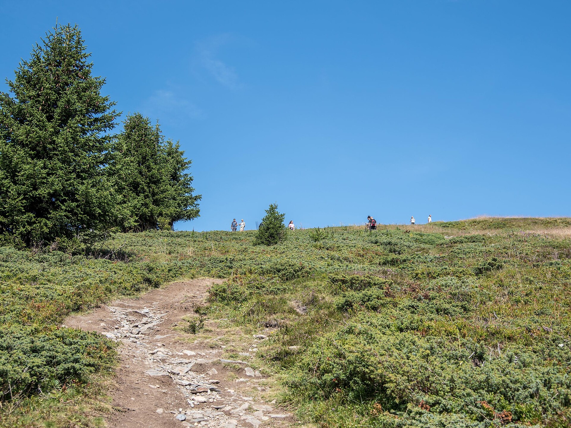 Kronplatz > Furkelpass - Dolomitenregion Kronplatz - #6 - suedtirol.info