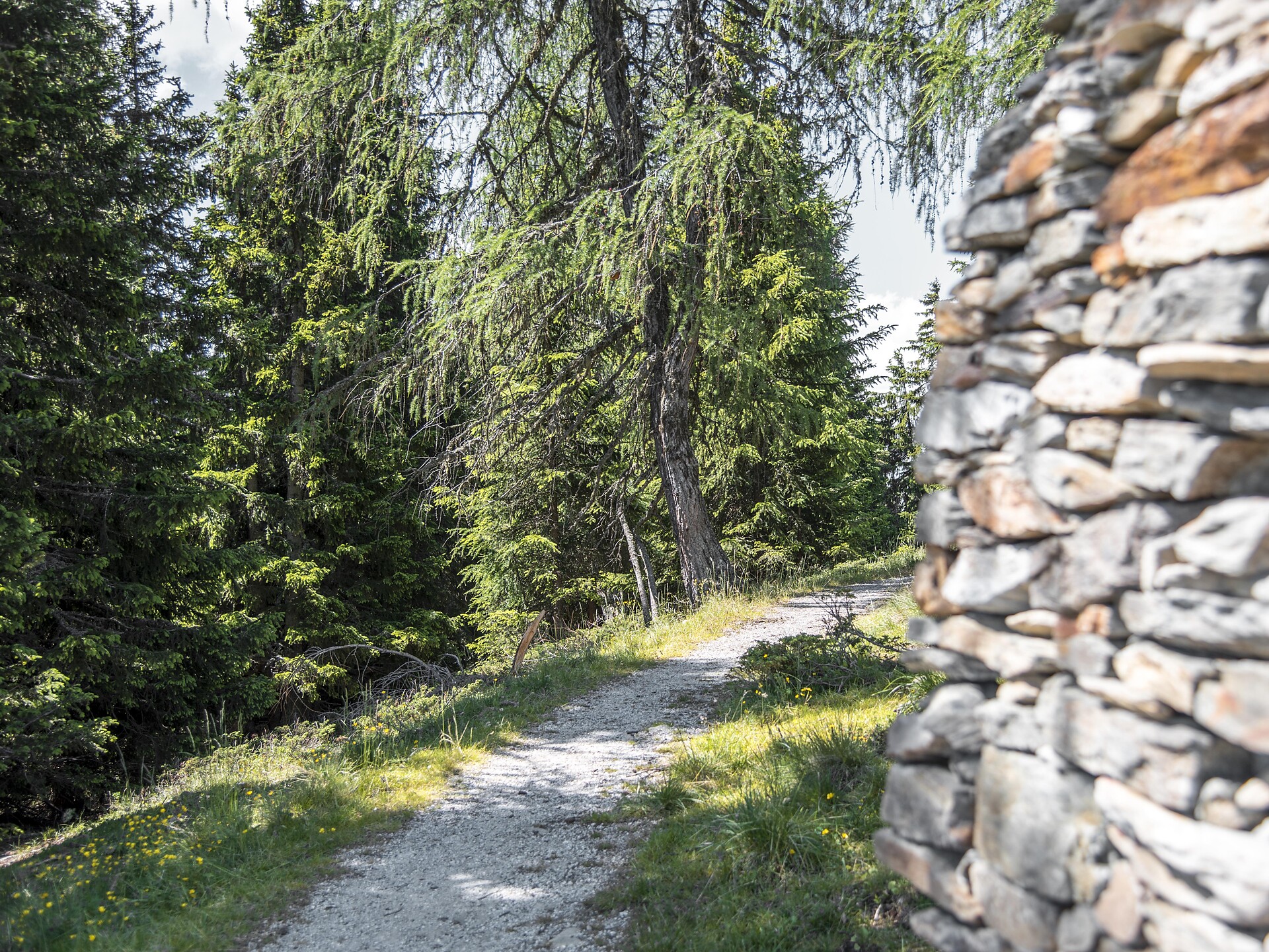 Kronplatz