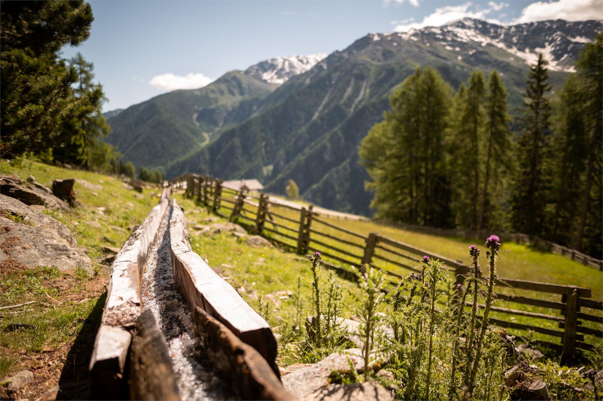 Sentiero della roggia "Kaandlwaal" Martello 1 suedtirol.info