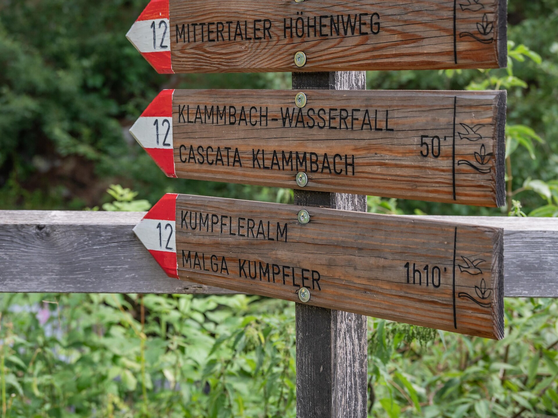 Hike to the Klammbach Waterfall - Dolomites Region Kronplatz/Plan de Corones - #8 - suedtirol.info