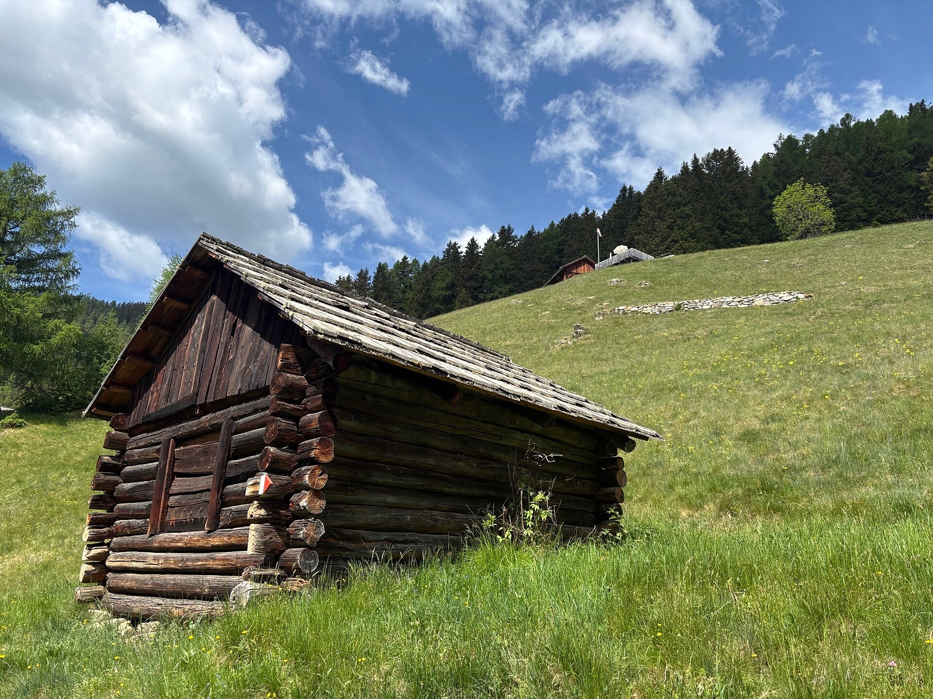 Kumpflalm über den Waldsteig - Dolomitenregion Kronplatz - #8 - suedtirol.info