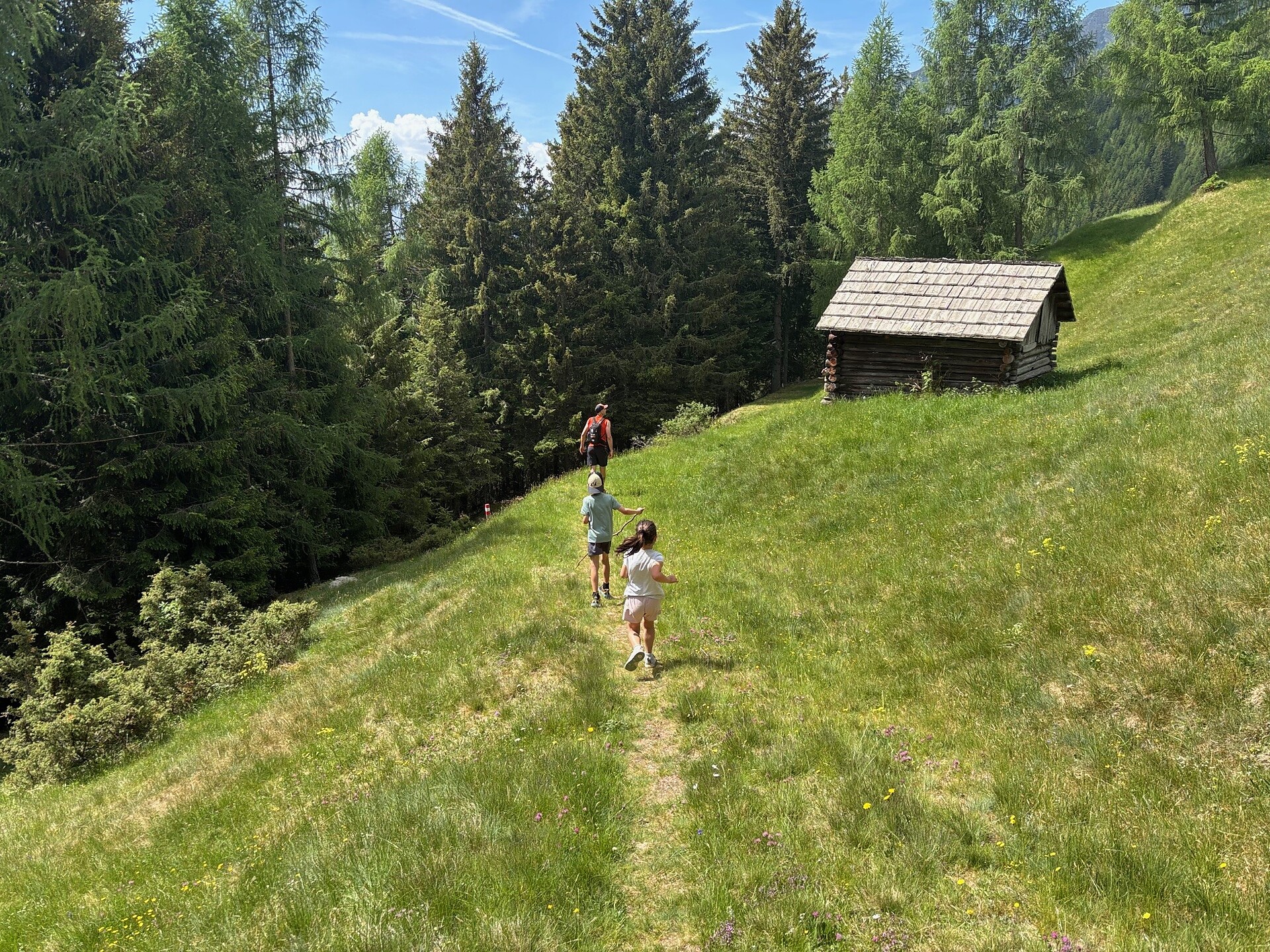 Kumpflalm über den Waldsteig - Dolomitenregion Kronplatz - #7 - suedtirol.info