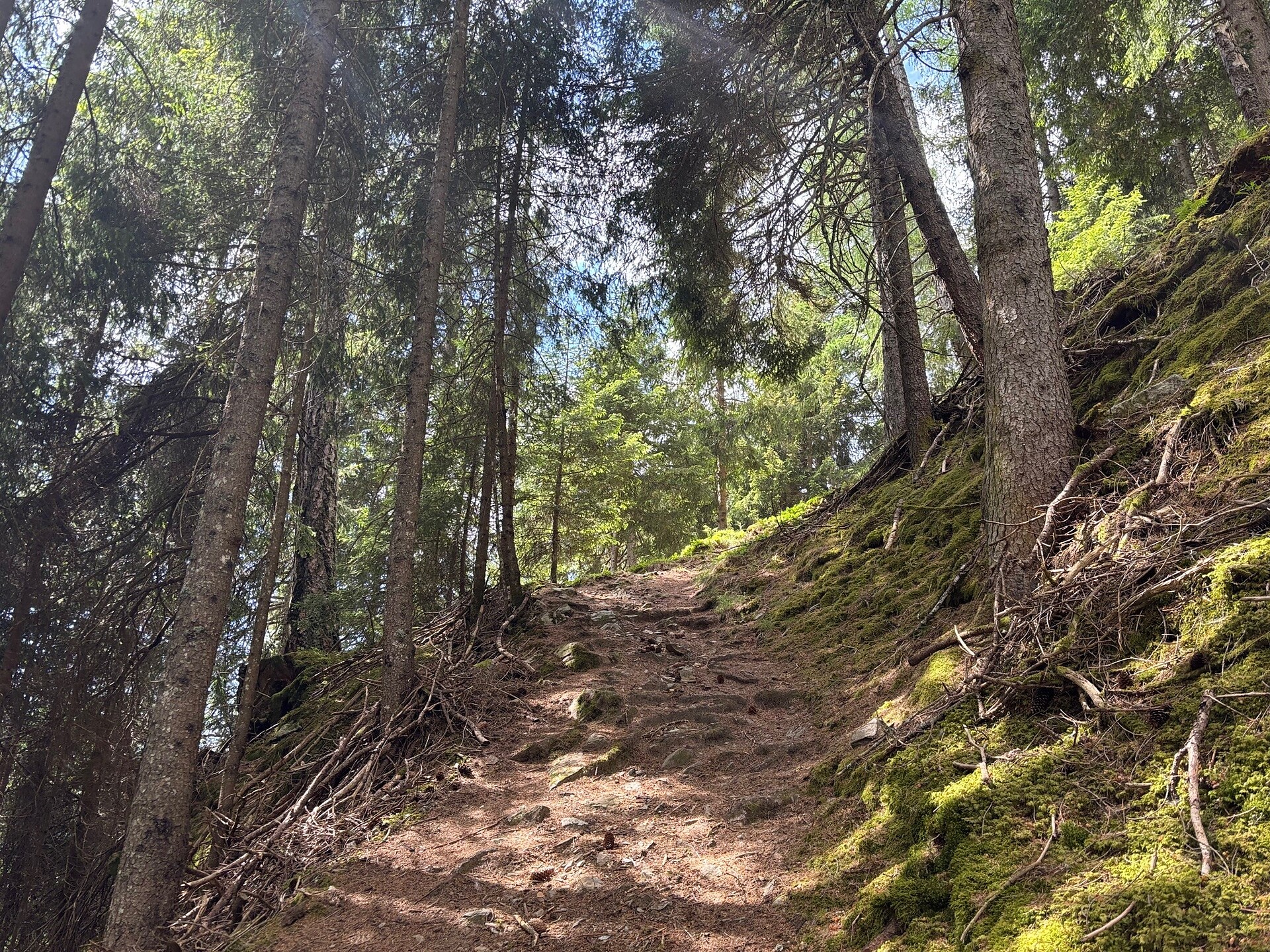 Kumpflalm über den Waldsteig - Dolomitenregion Kronplatz - #6 - suedtirol.info