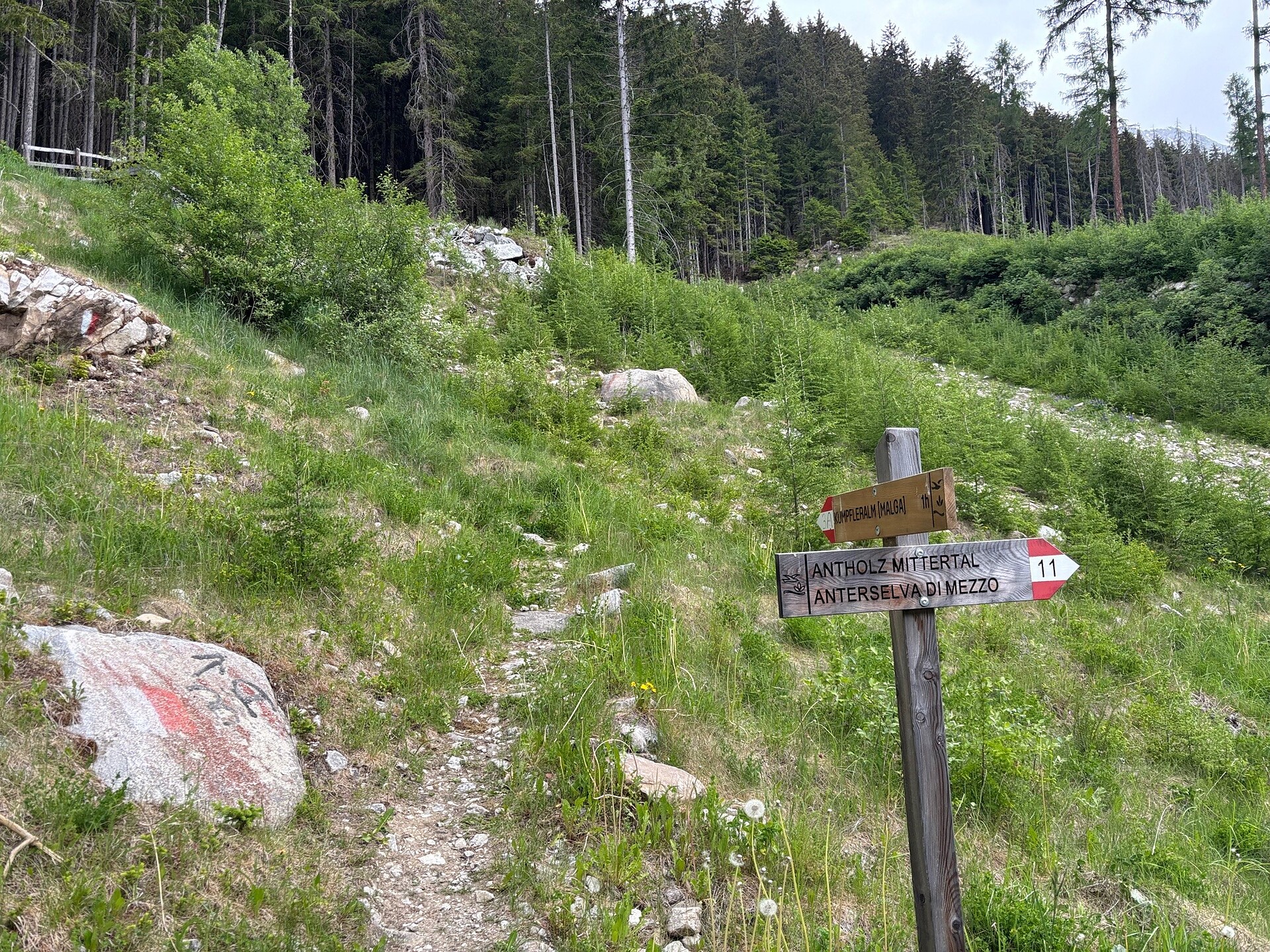 Kumpflalm über den Waldsteig - Dolomitenregion Kronplatz - #4 - suedtirol.info