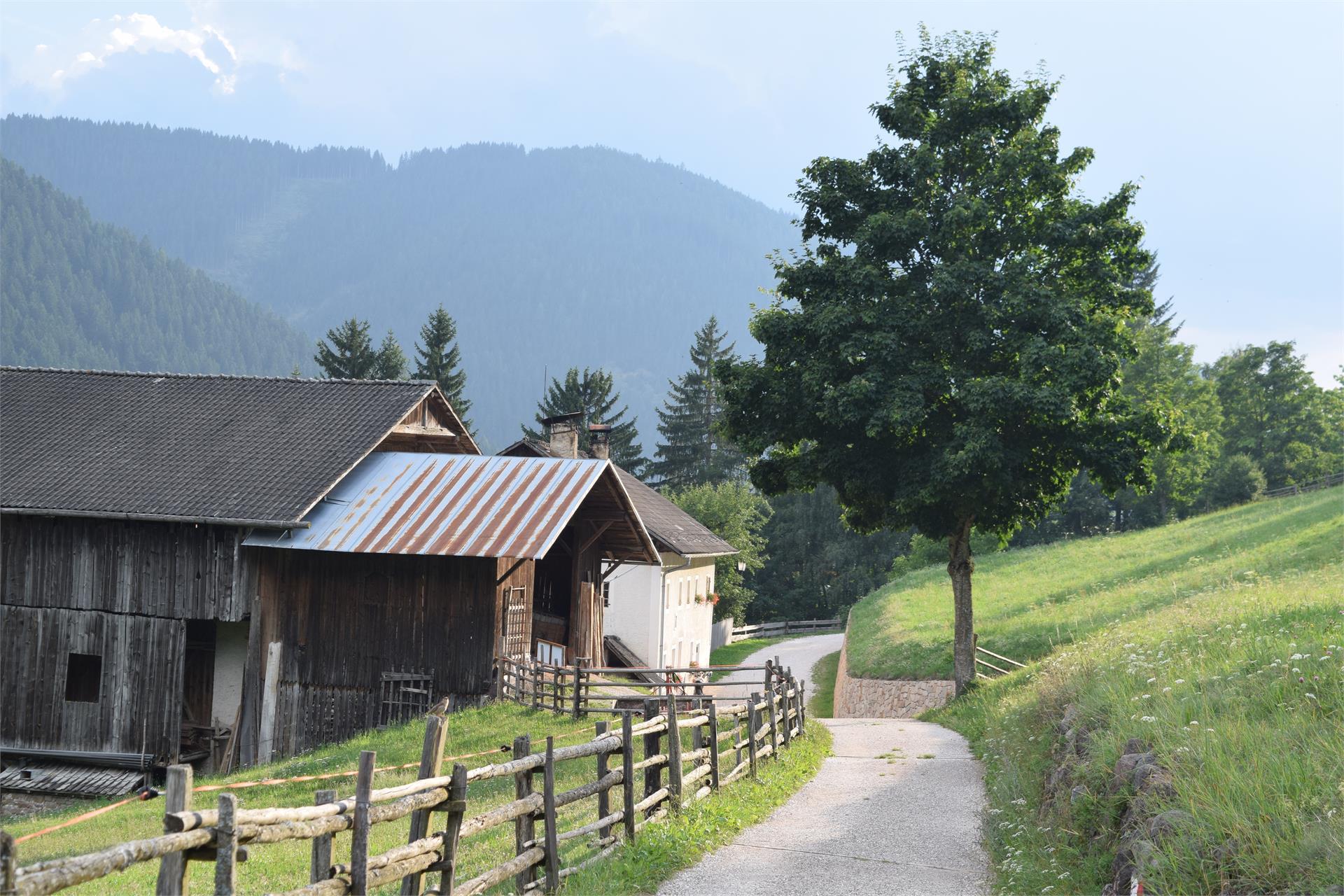 Short village-walk Nova Levante Welschnofen/Nova Levante 2 suedtirol.info